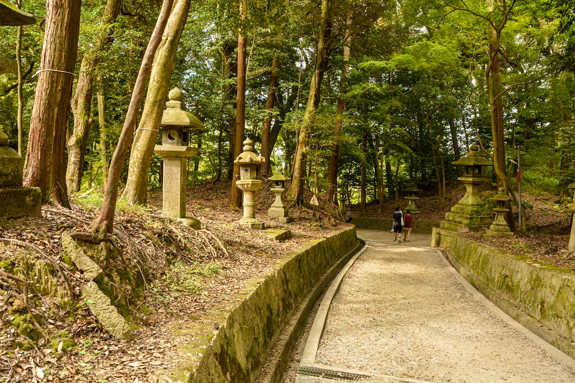 Fushimi Inari - stone lanterns along a mountain path.