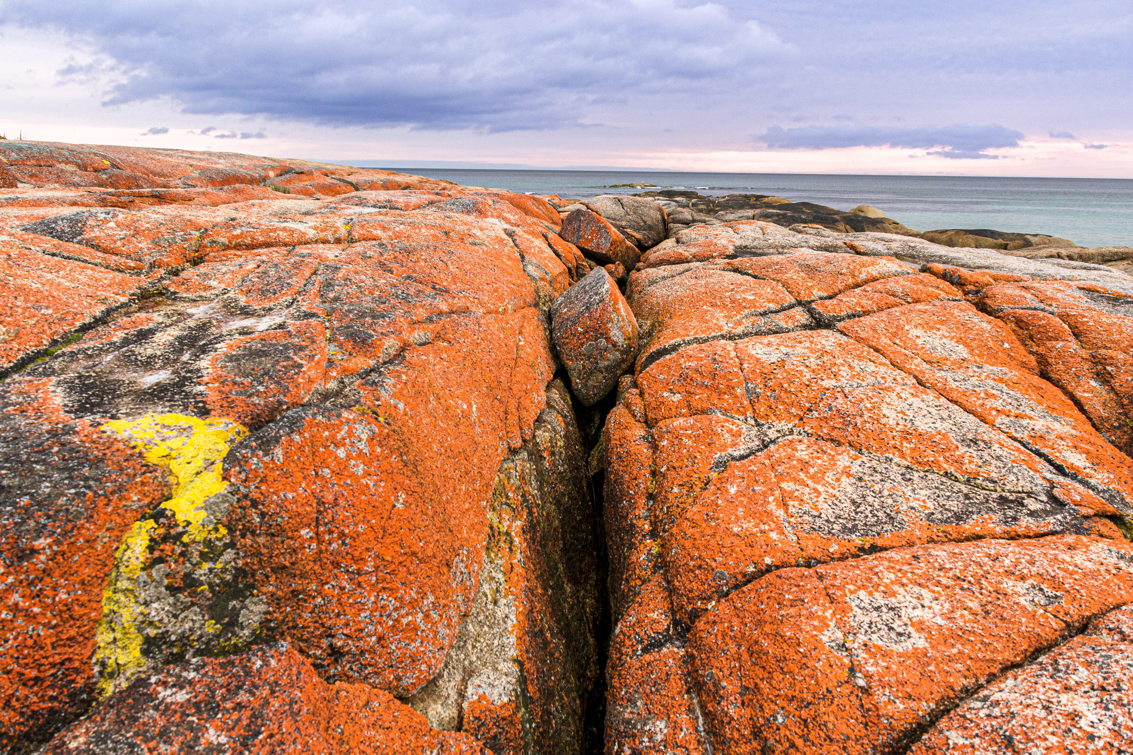 Fire on the rocks, orange and yellow lichen covers the granite.