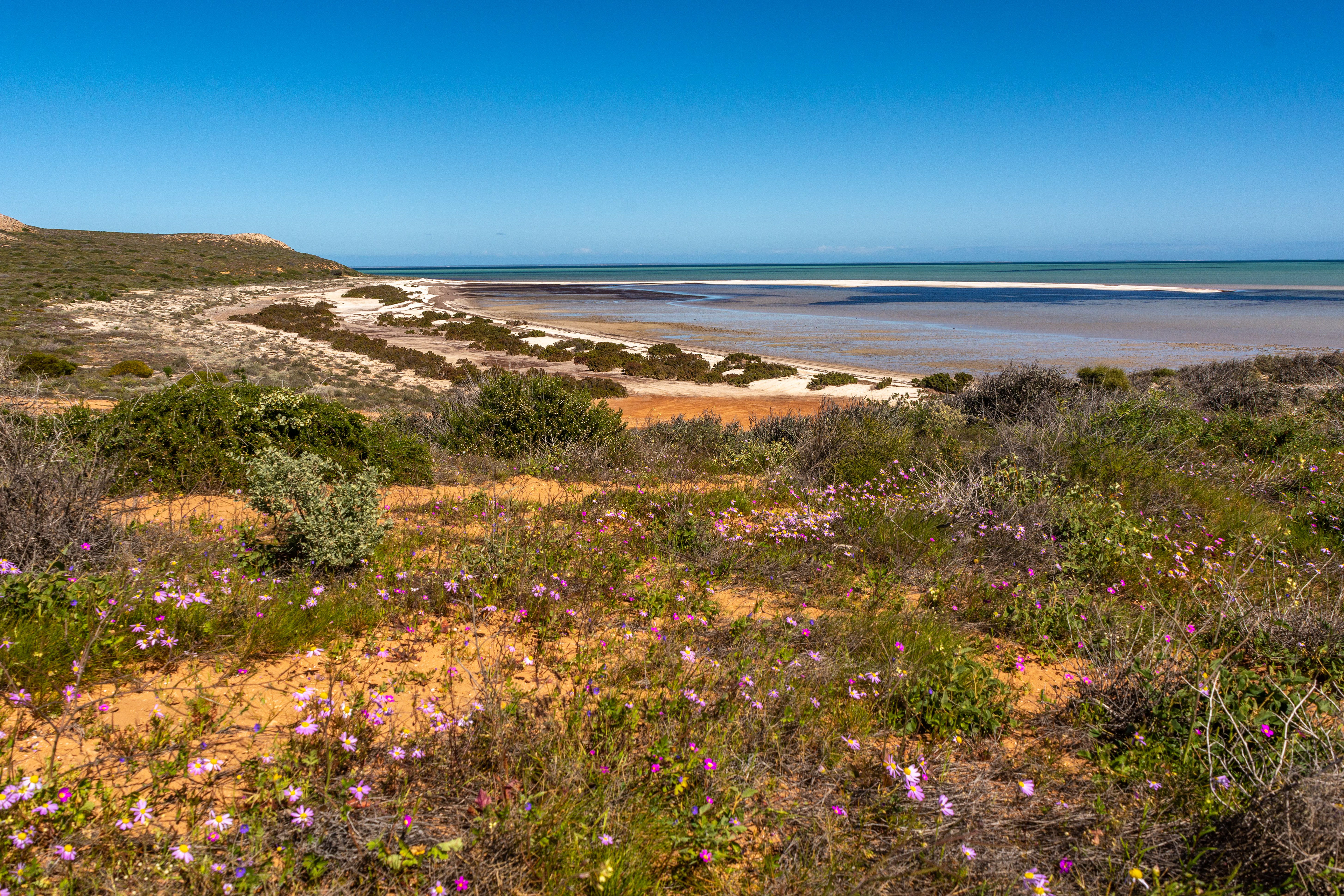 Denham foreshore area - Dirk Hartog Island on the horizon.