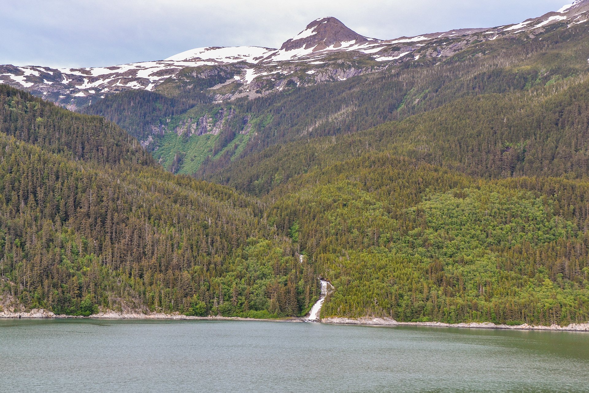 The lowlands near the mouth of Glacier Bay cloaked in a spruce/hemlock rainforest.