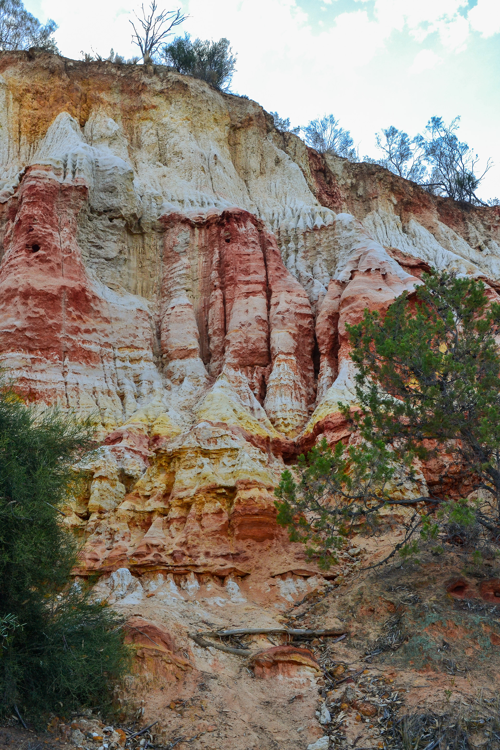Red, brown and yellow ochre colours of the sandstone cliffs from which the reserve is named.