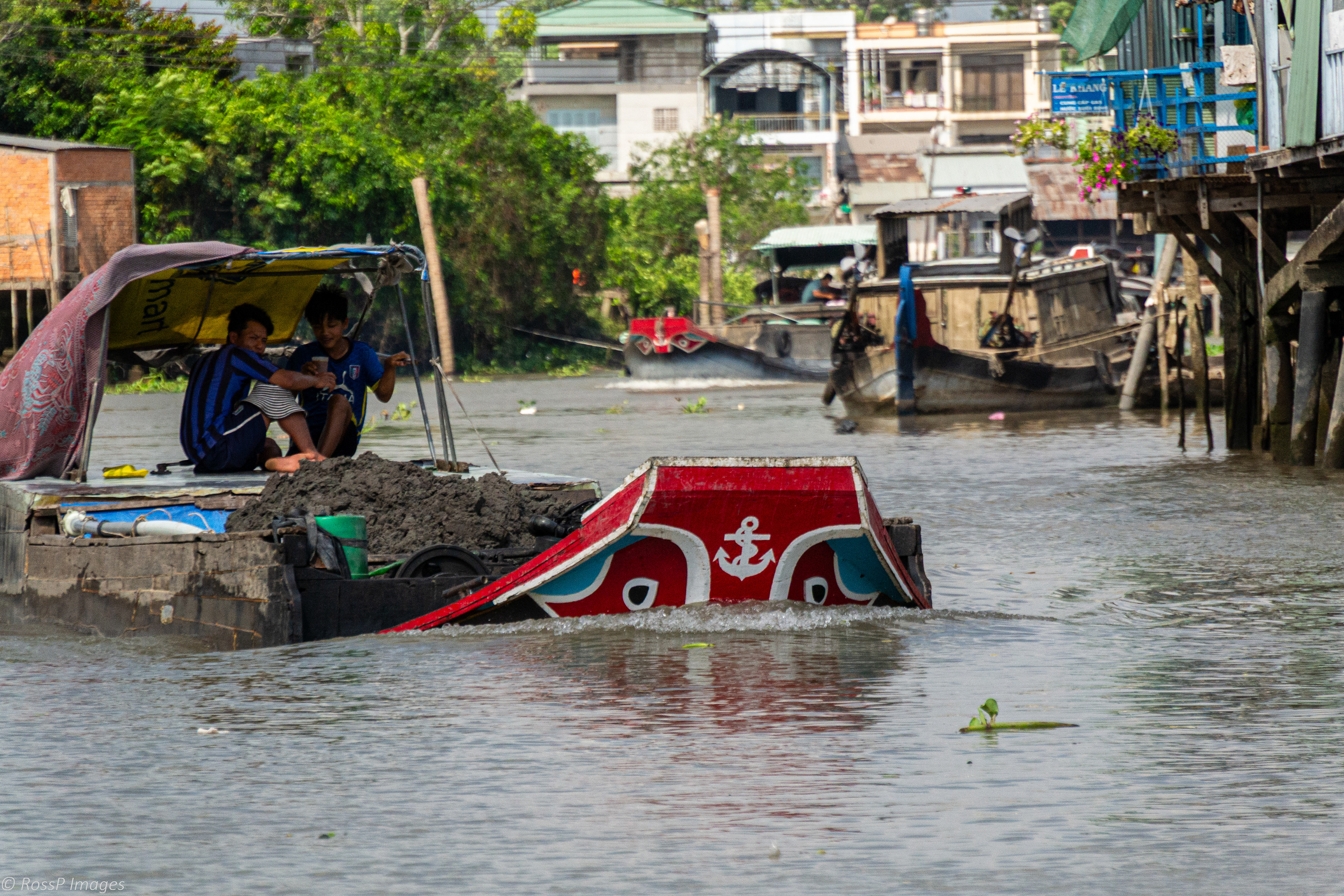 This river barge is periliously loaded to its "Mekong Eyes"