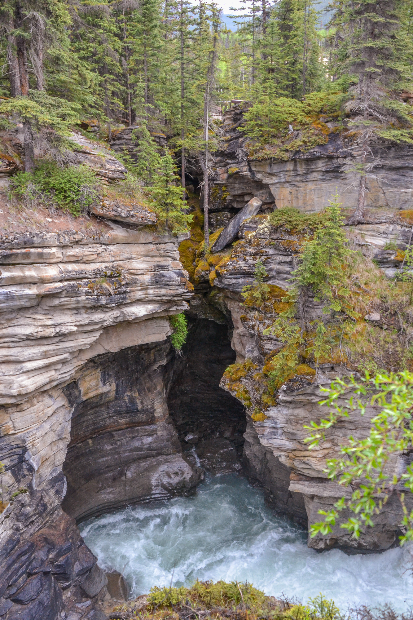 Downstream the river 'falls' over a layer of hard quartzite and softer limestone, carving the short gorge and a number of potholes.