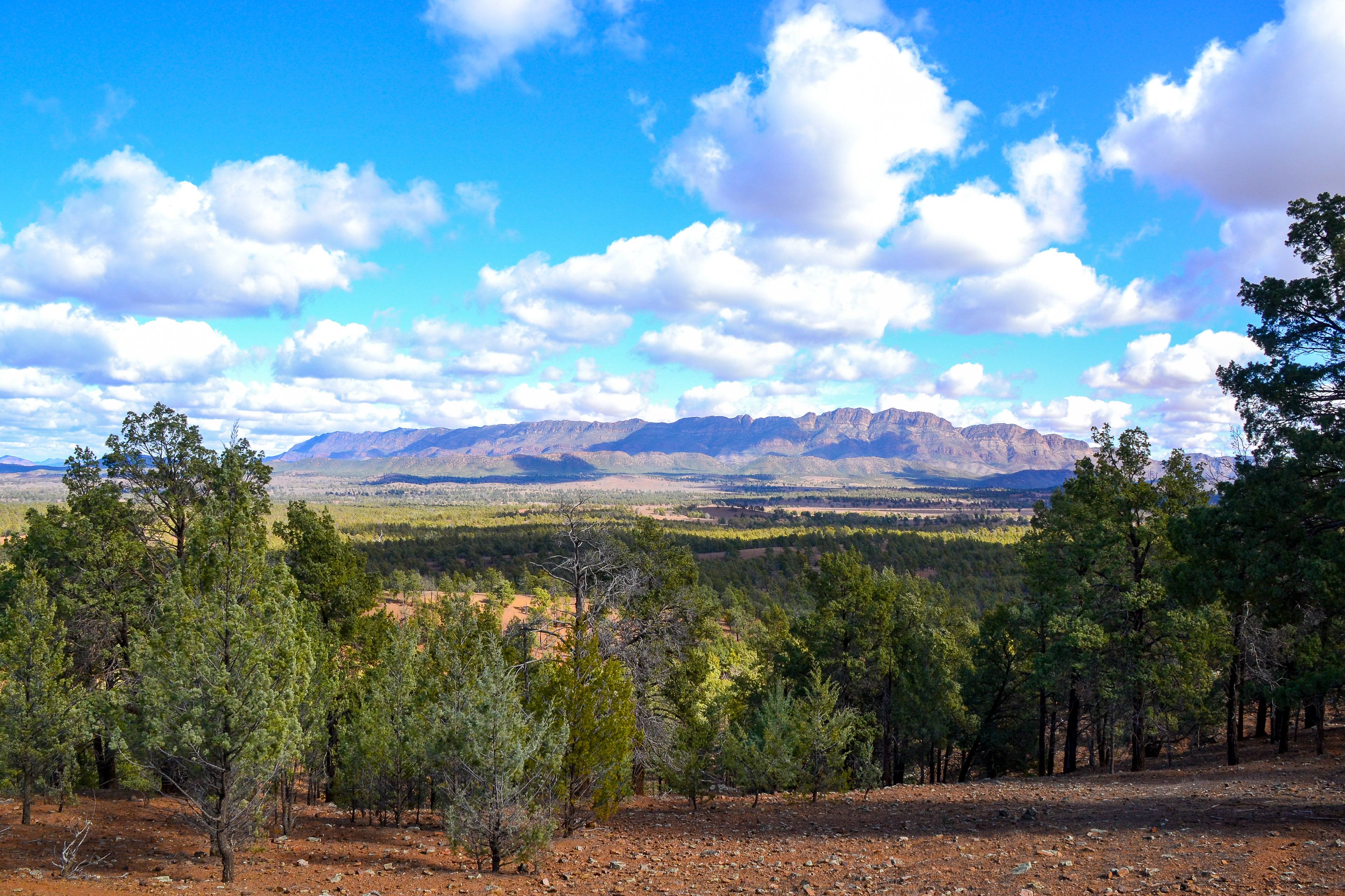 The view from Clems Corner