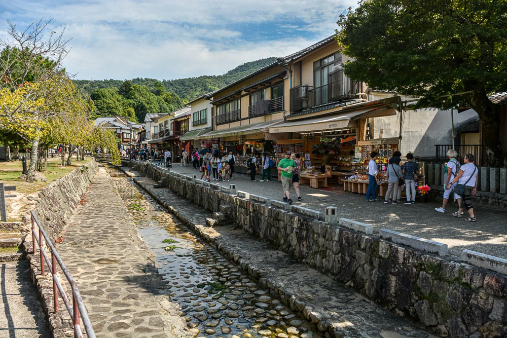 Takinokoji Avenue shopping.