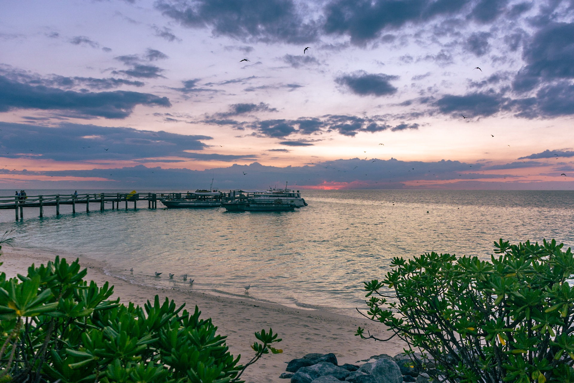 Heron boat harbour at sunset.