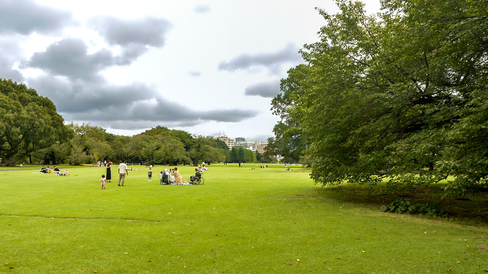 Shinjuku-Gyoen Gardens, locals enjoying the open space lawns of the English Gardens.