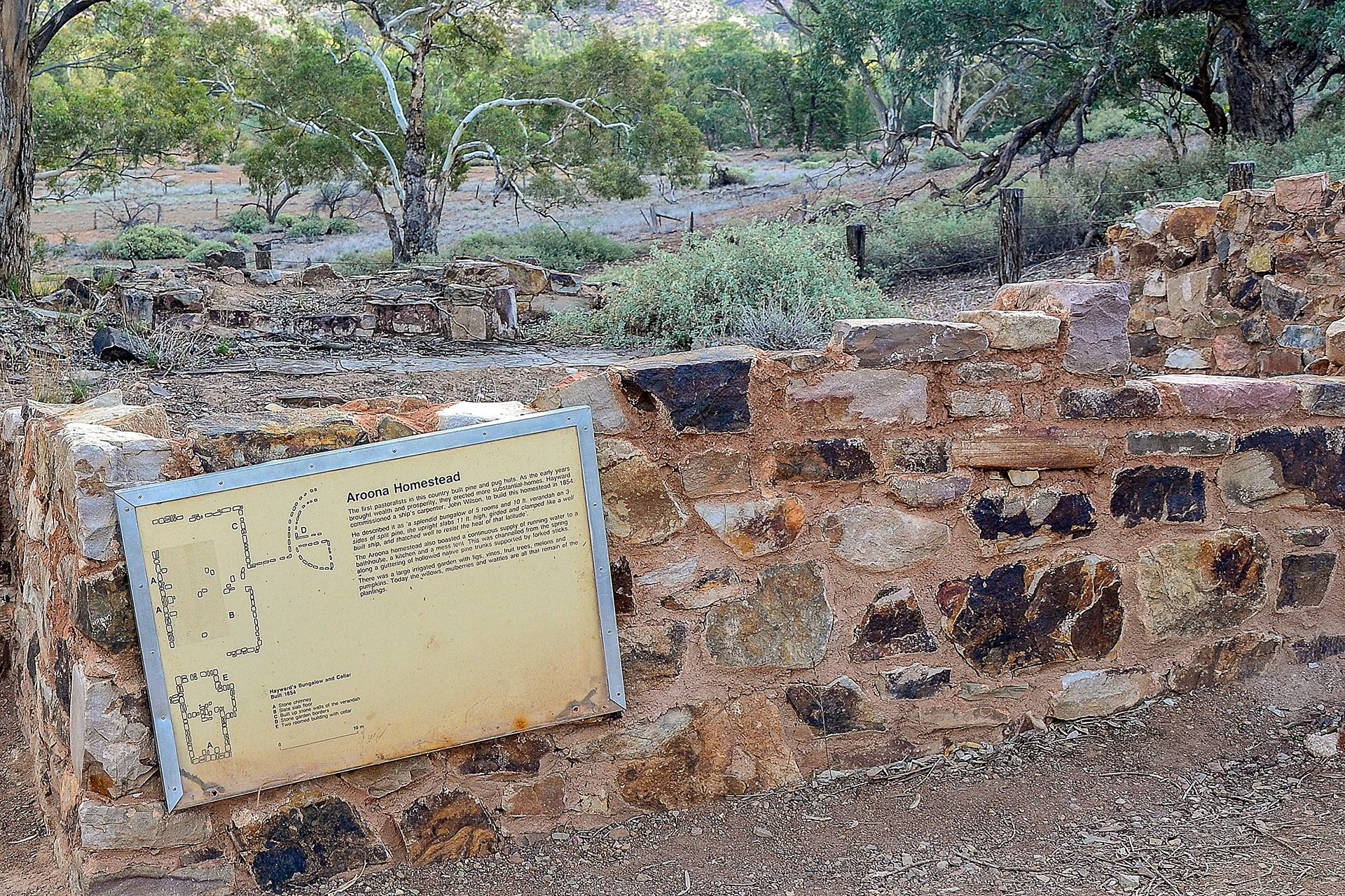 Aroona Homestead ruins.