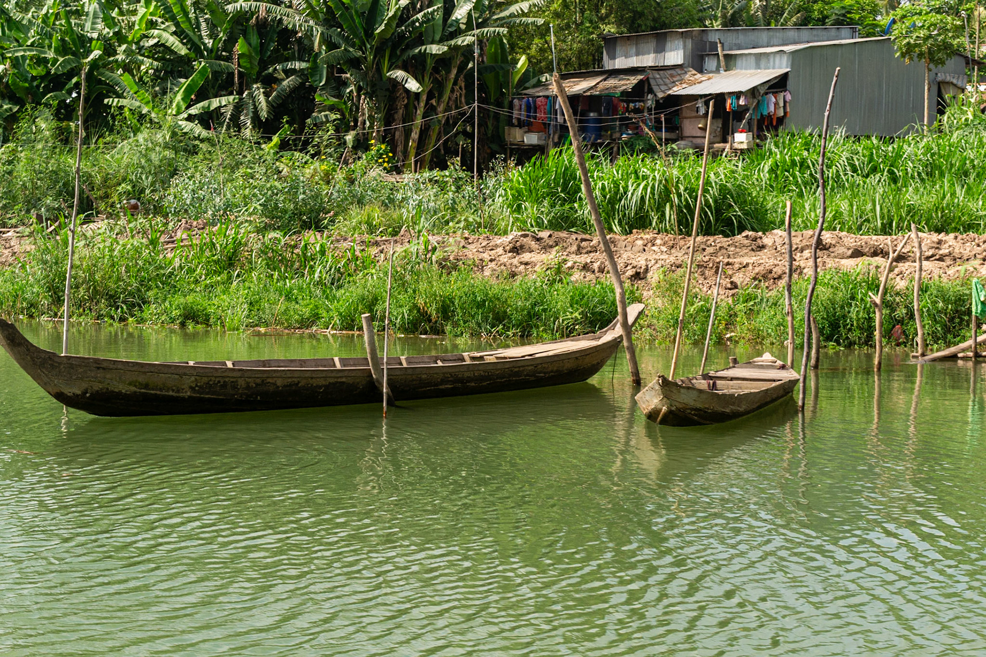 Wooden canoes moored in front of riverside homes typical of the area.