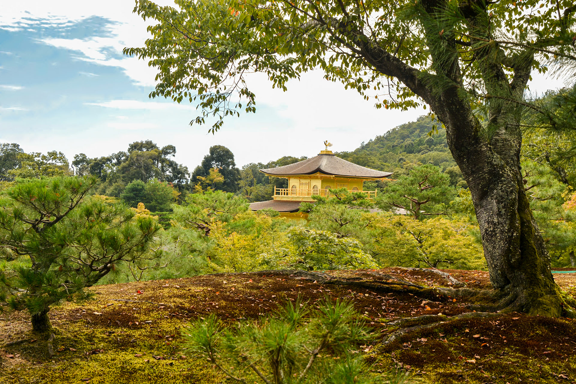 The pavilion's location implements the idea of shakkei (borrowing of scenery) creating an extension of the views surrounding the pavilion and connecting it with the outside world.