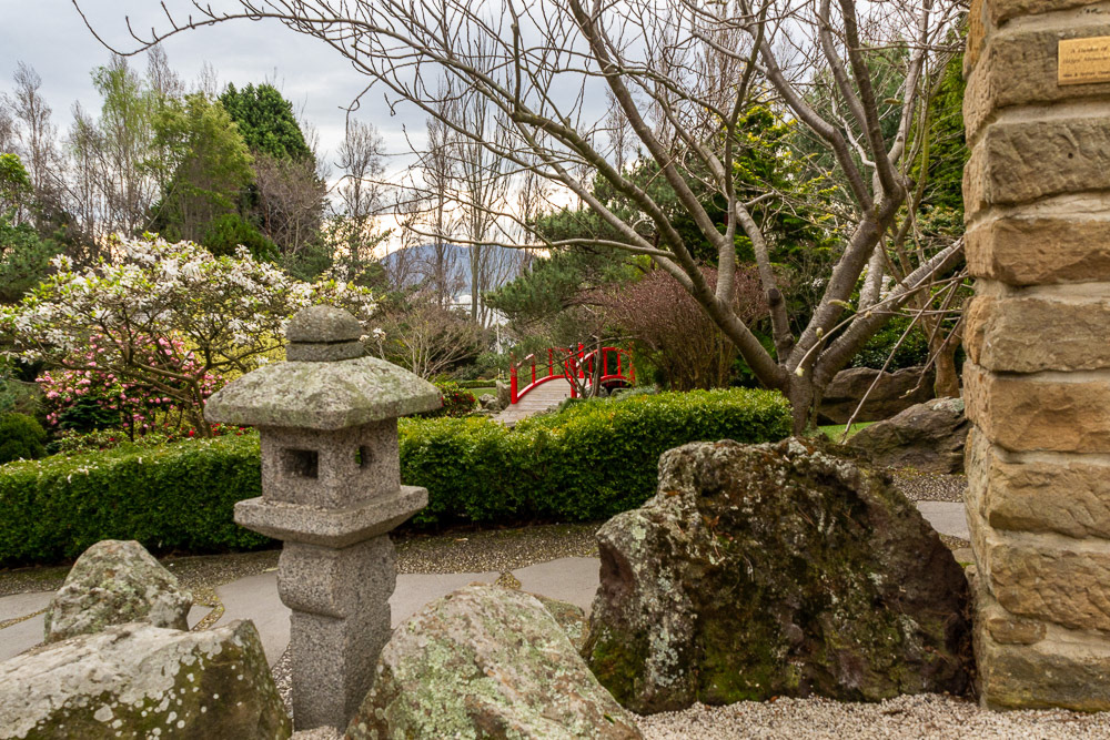 A stroll through the tranquil section of the Japanese gardens.