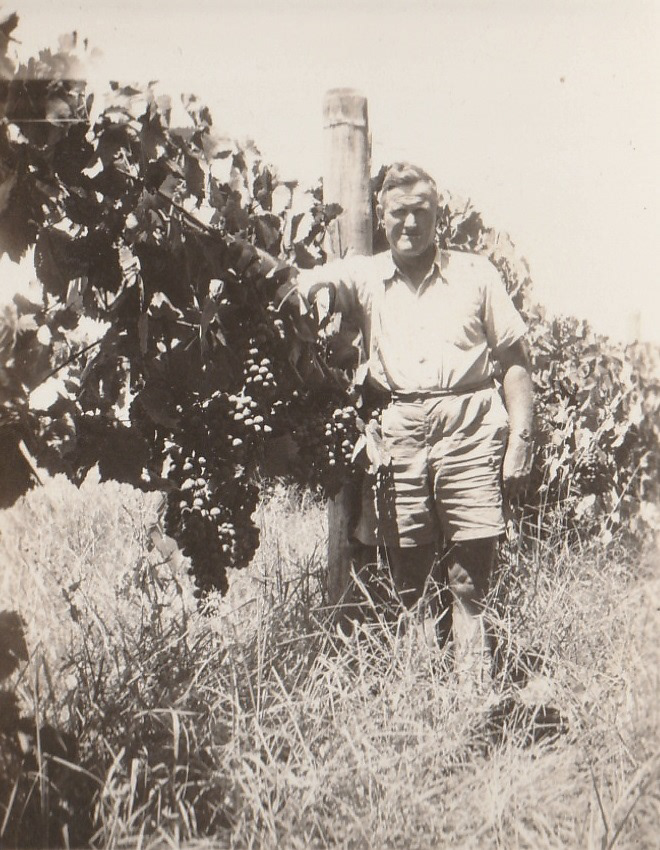 Bill proudly displaying a bumper crop in his vineyard beside the farmhouse.