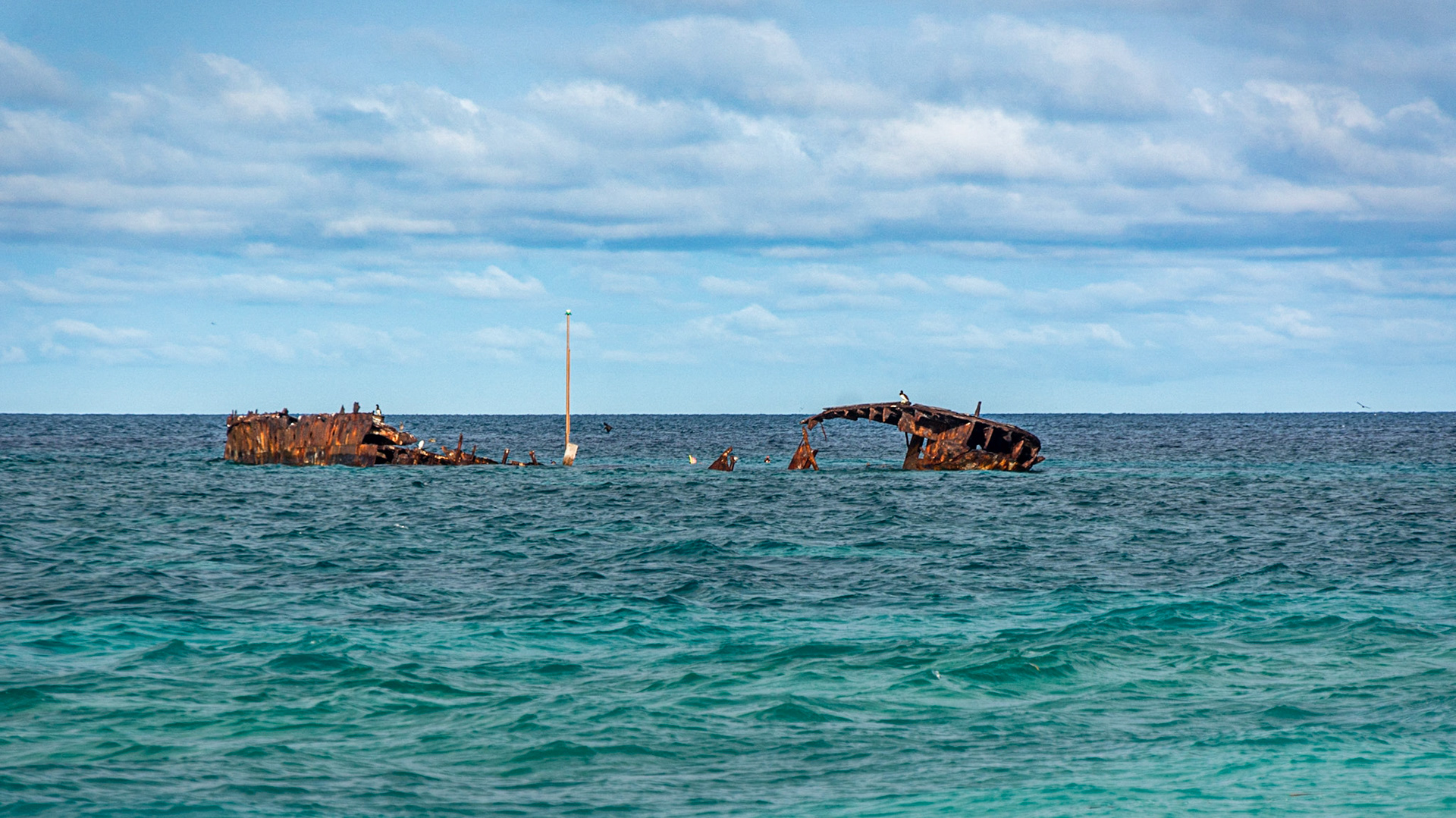 Rusting remnants of HMAS Protector - "The Wreck"
