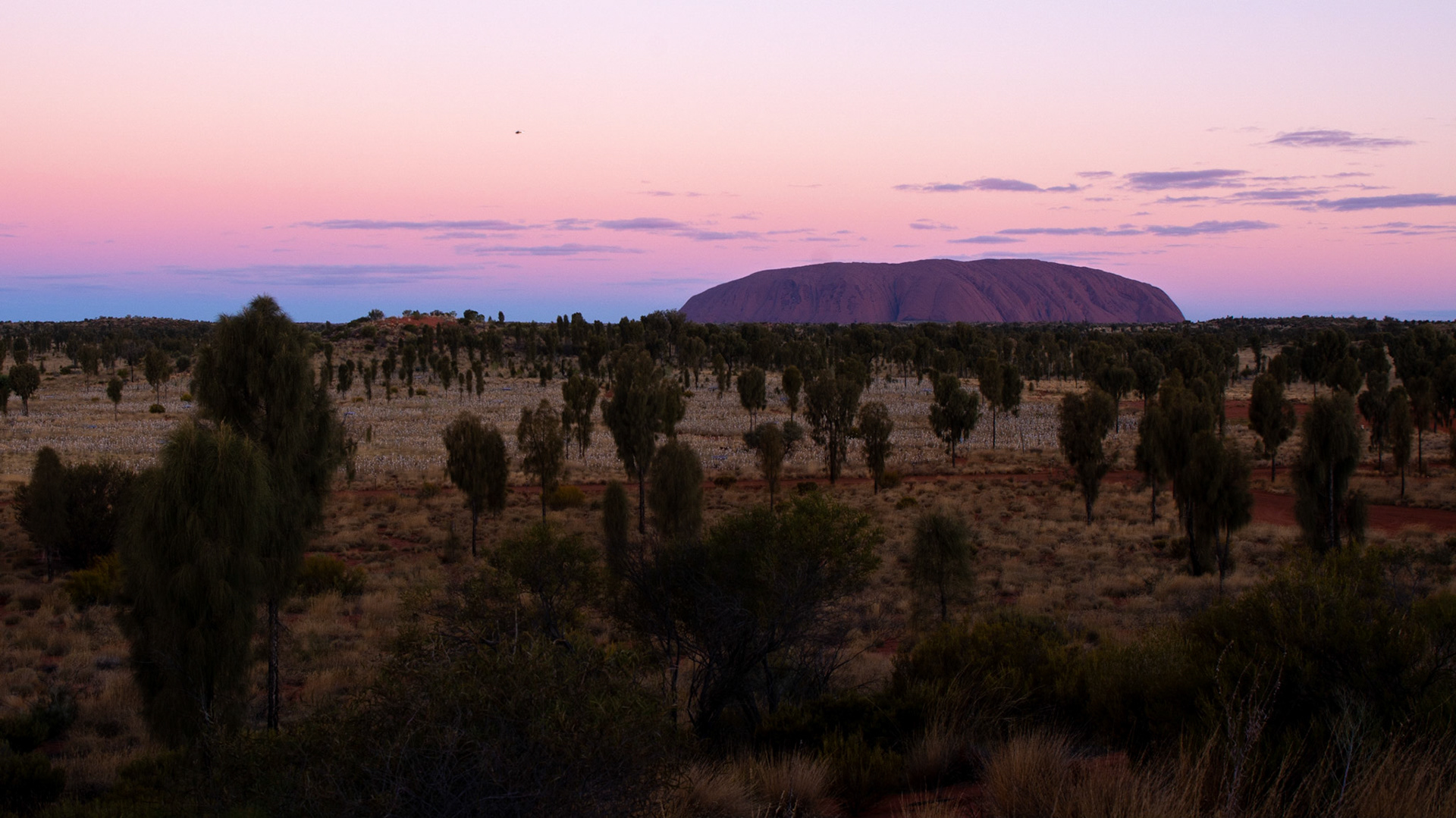 Sunset looking over the Field of Light towards Uluru ......... glorious shades of pink and blue wash over the rock and in the sky