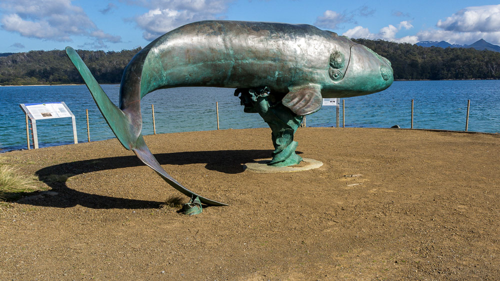 Cockle Creek - a bronze sculpture of a Southern Right Whale at Adams Point.