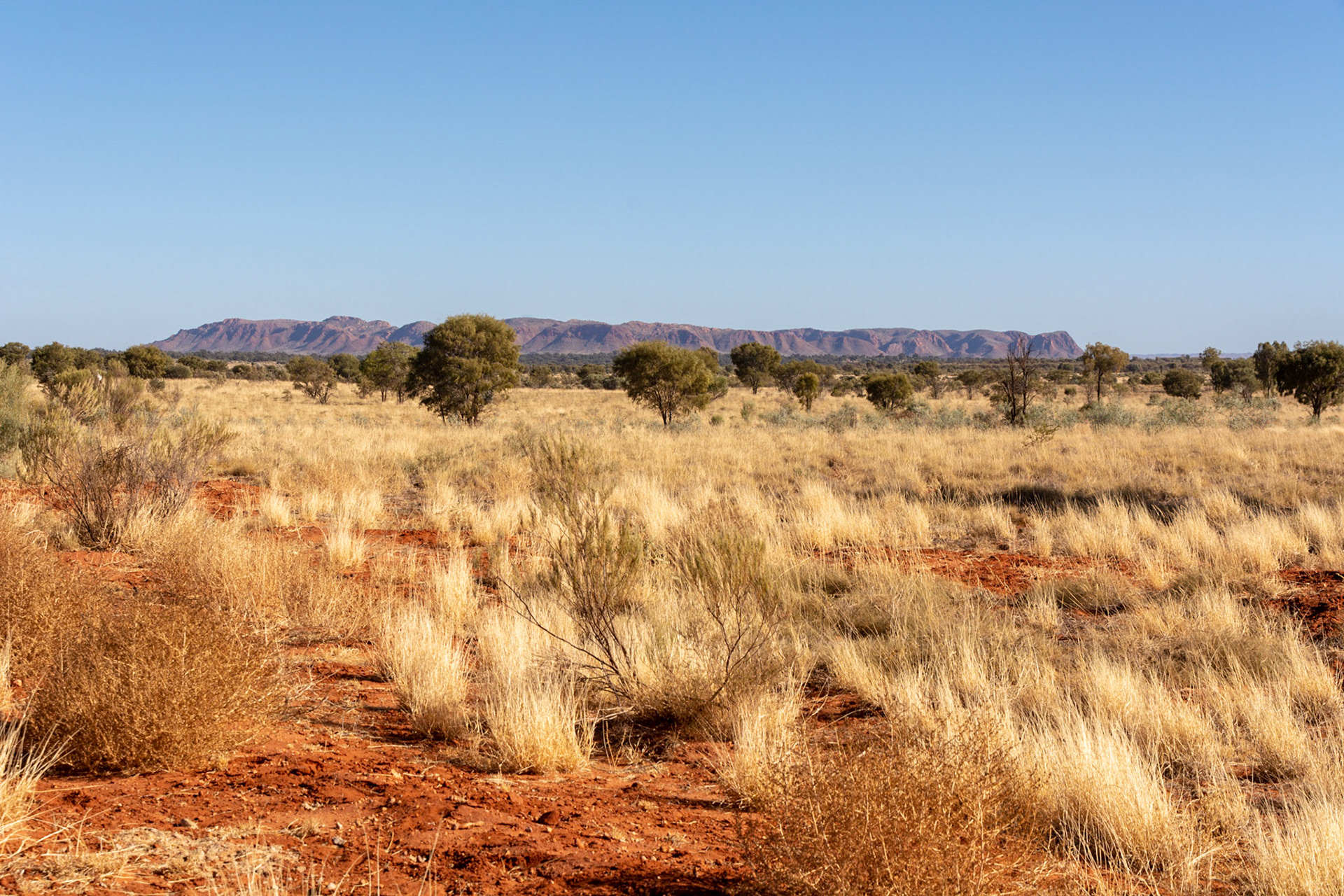 Tnorala (Gosse Bluff) .... an impact crater as seen from the road west of Hermannsburg