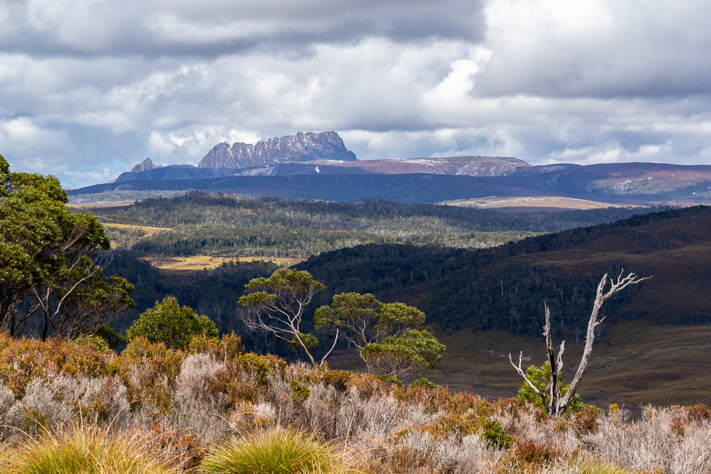 Alpine eucalypt, myrtle forest and button grass of the Cradle Mountain National Park stretch before us with Barn Bluff and Mount Roland in the distance.