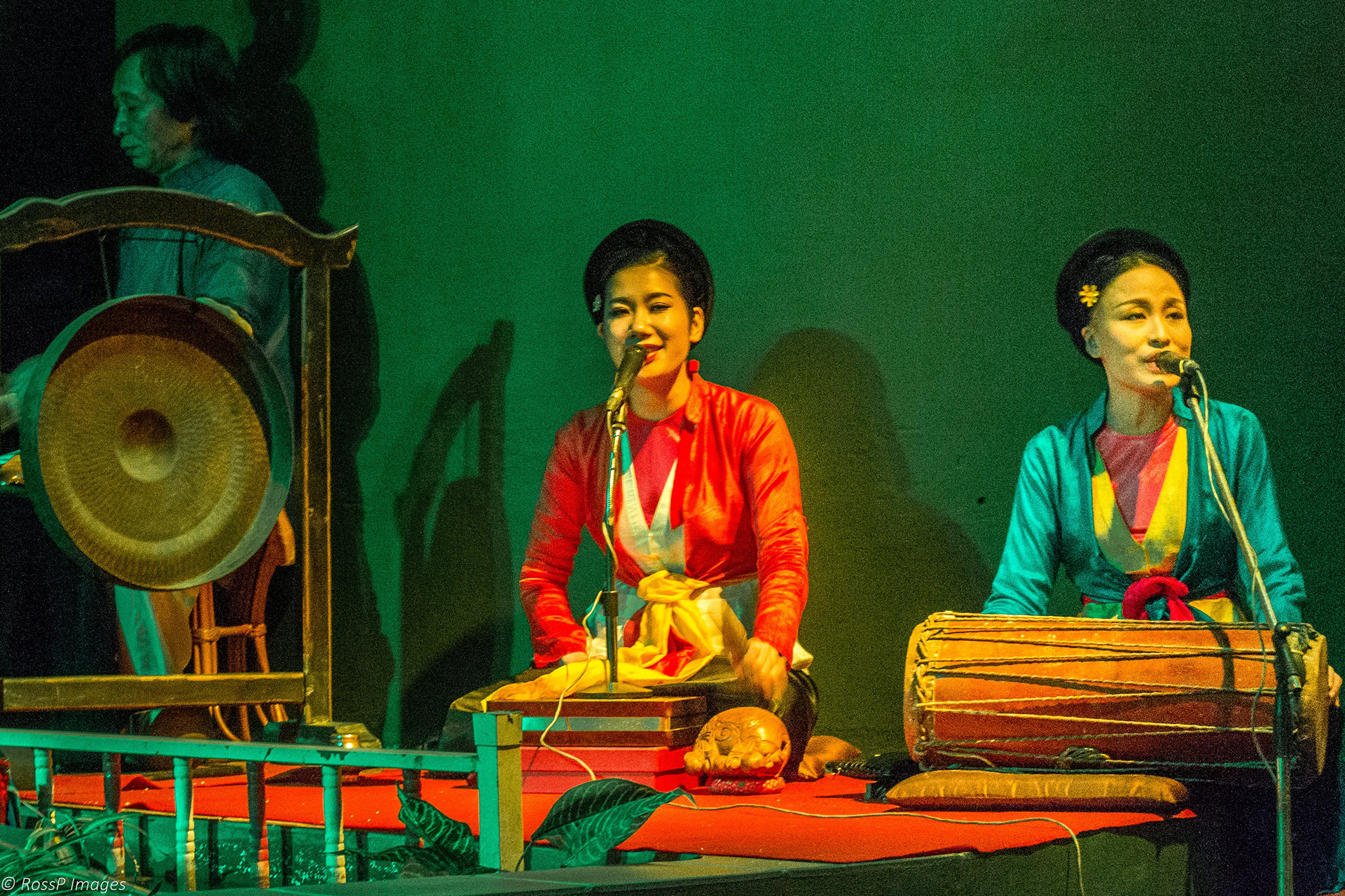 Musicians play traditional Vietnamese instruments as part of the Water Puppet performance.