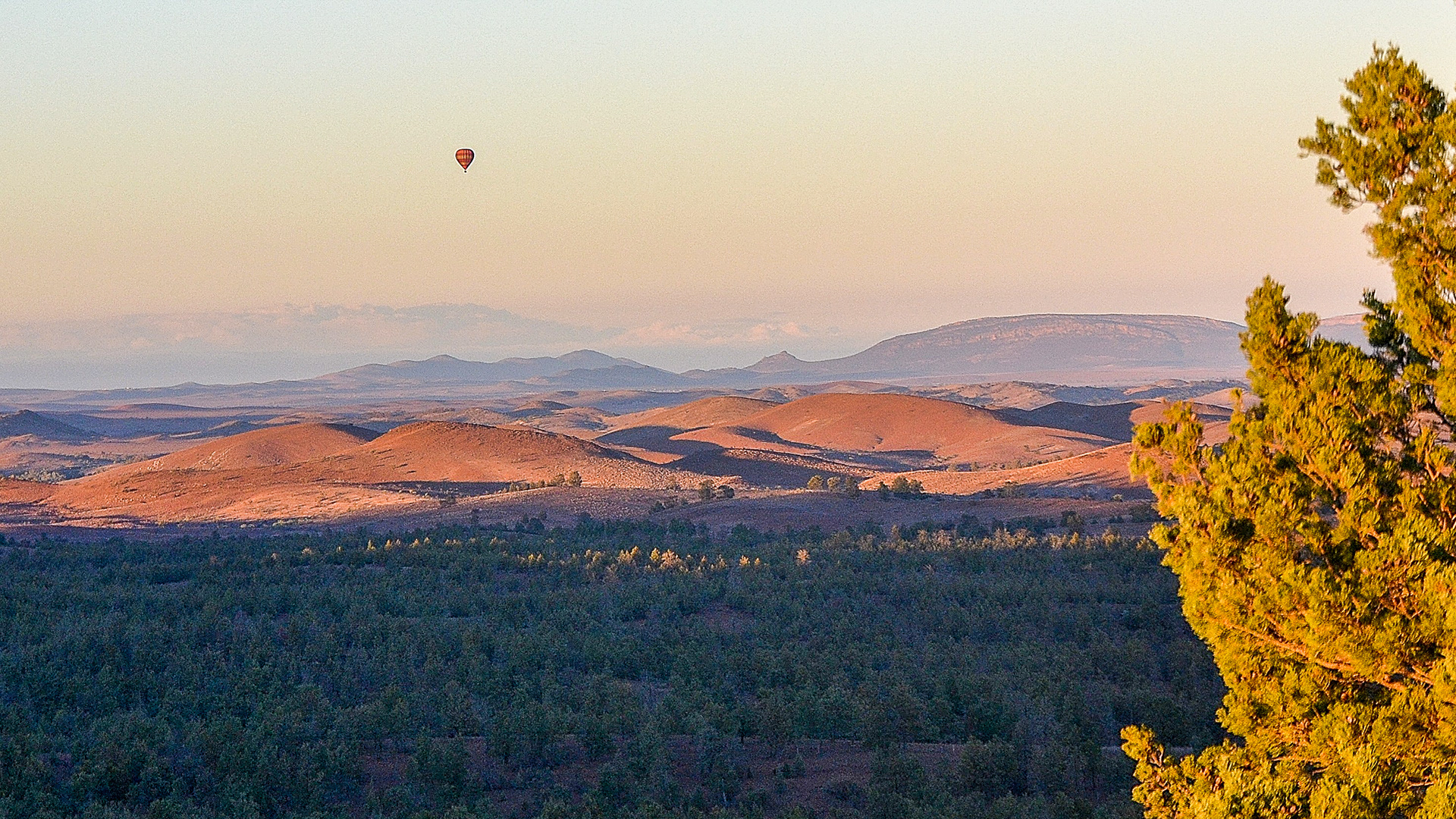 A hot-air balloon approaches Rawnsley Park Station on an early morning Flight.