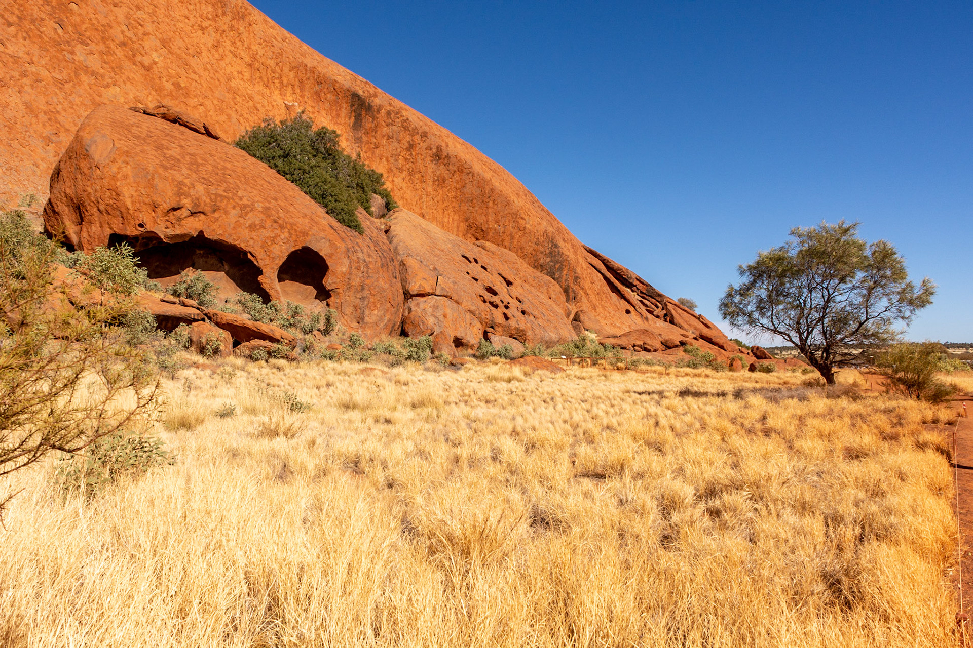 From a distance it appears to be a smooth surface......... in reality it's quite diverse environment comprising caves, overhangs, shapes and colours