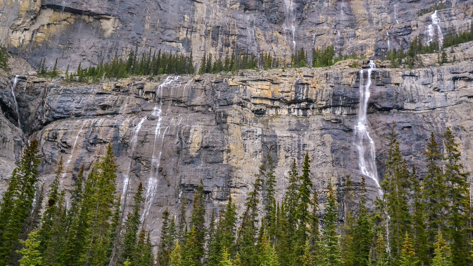 Sheer cliffs, cascading water and pine forests......