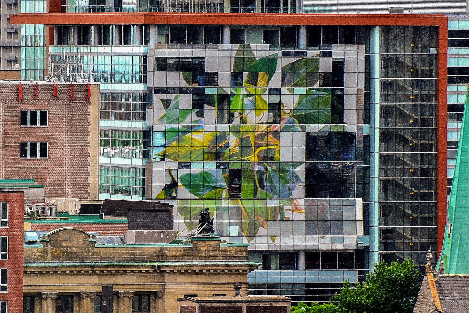 An architectural take on a "Green" building
