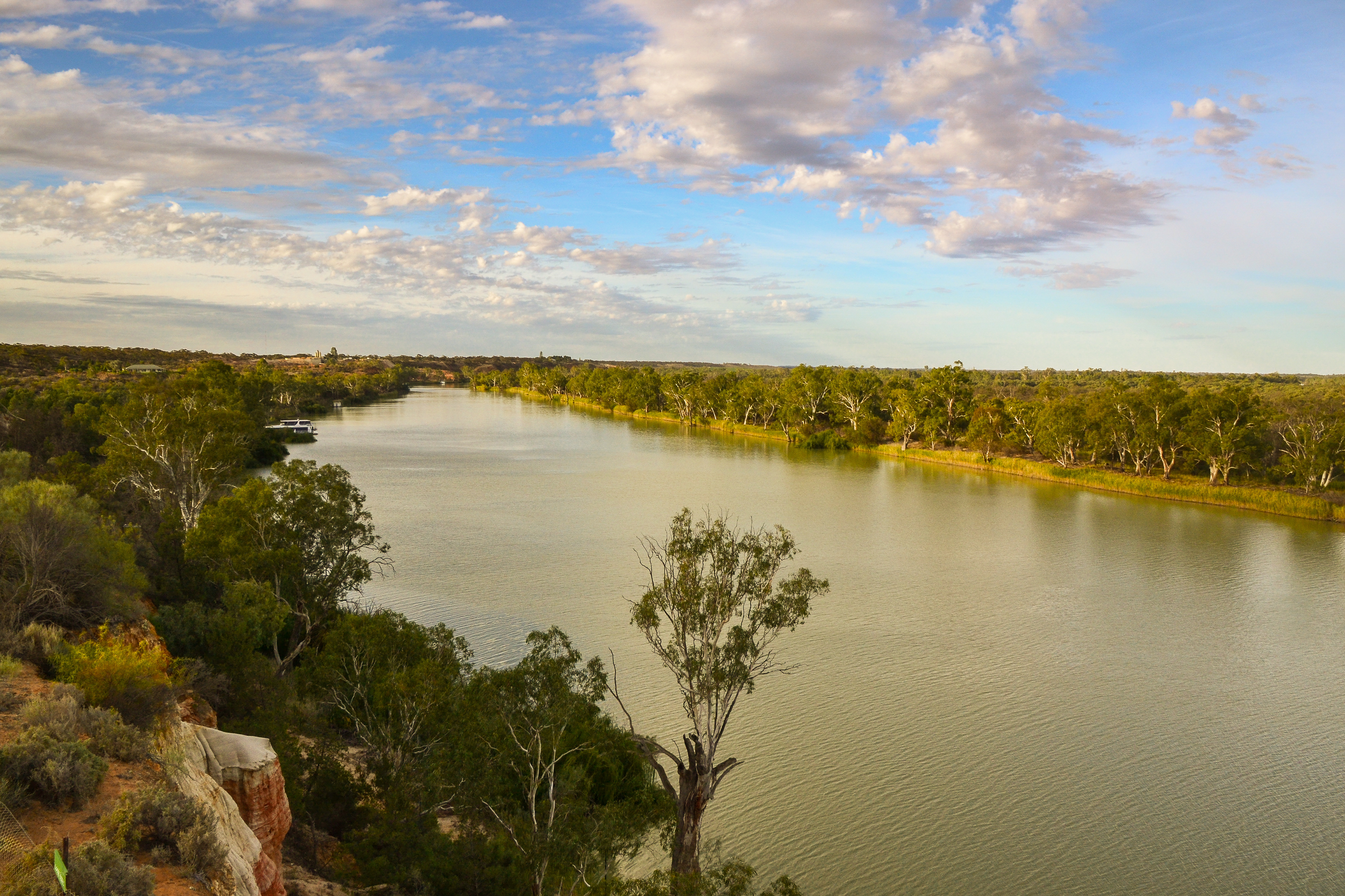 Murray River from the cliff-top viewing platform.