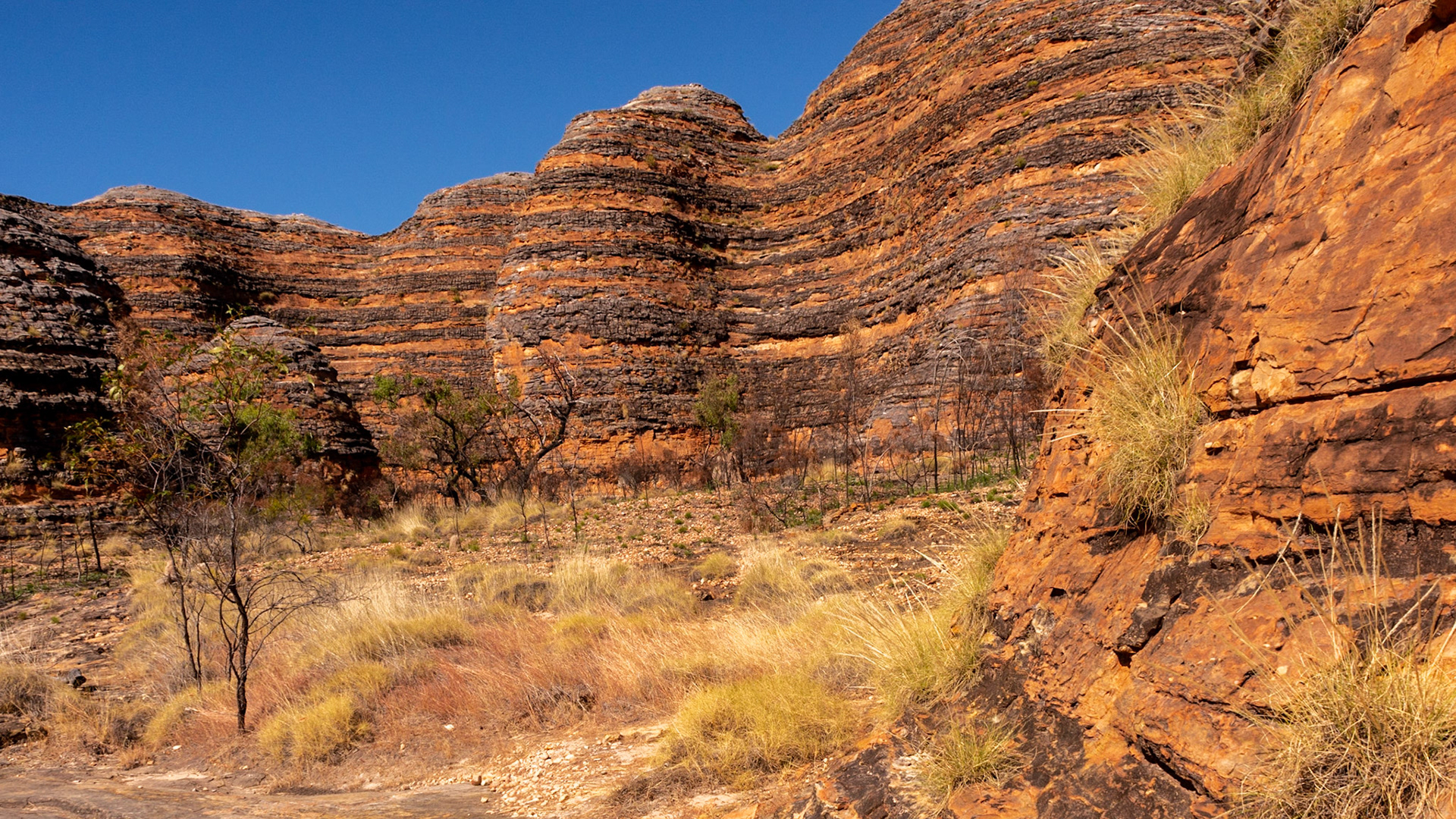 Weathered shapes and form of the sandstone rock are spectacular