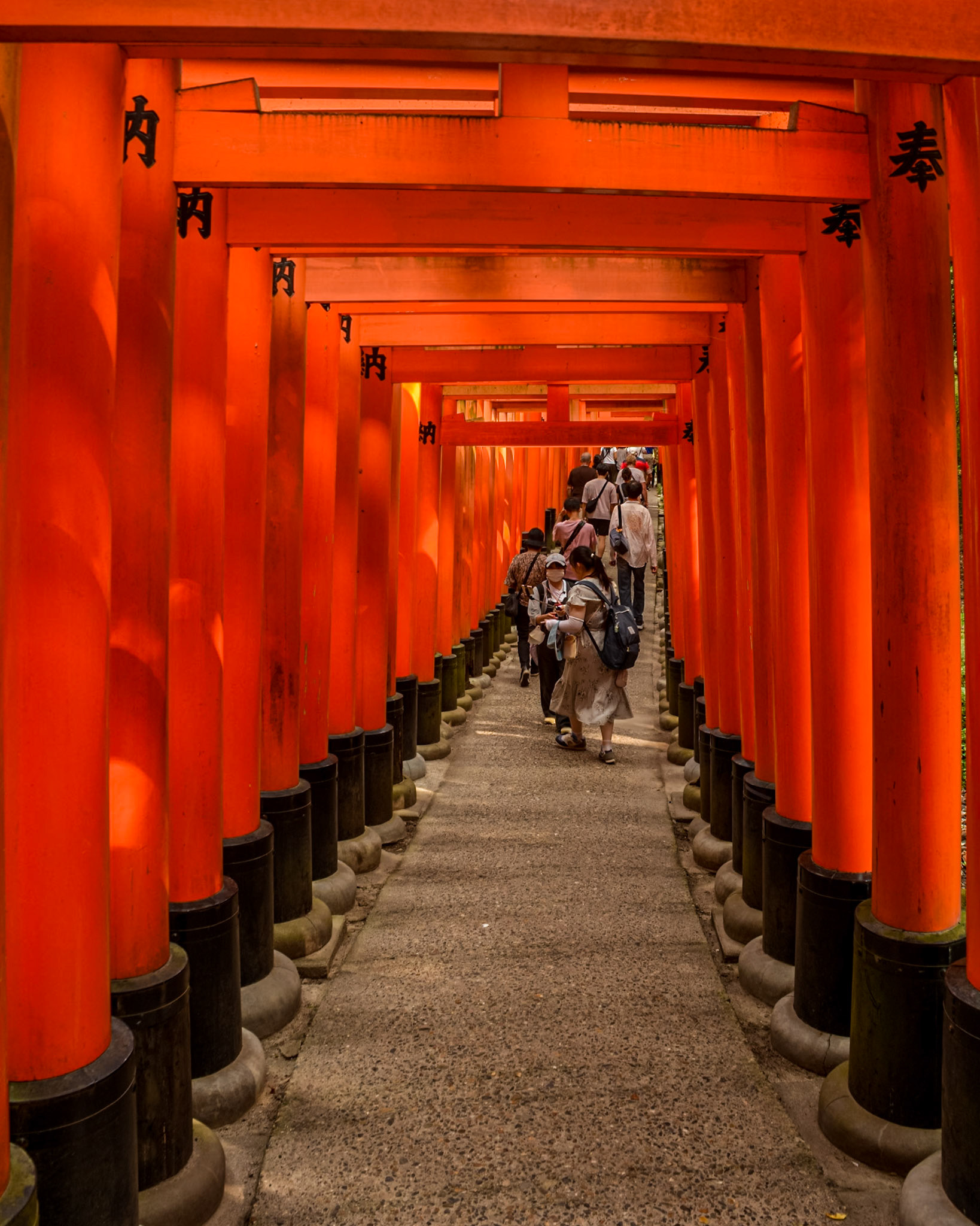 Fushimi Inari - walking through Senbon Torii (1,000 Torii gates).