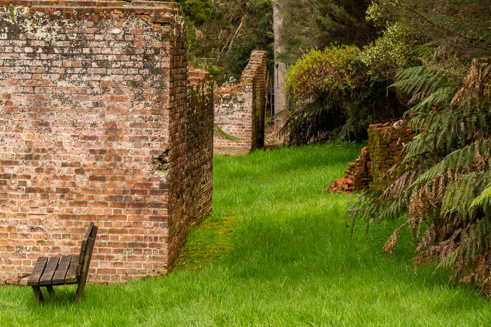 Selected clearing reveals the ruins of the convict settlement established 200 years earlier.