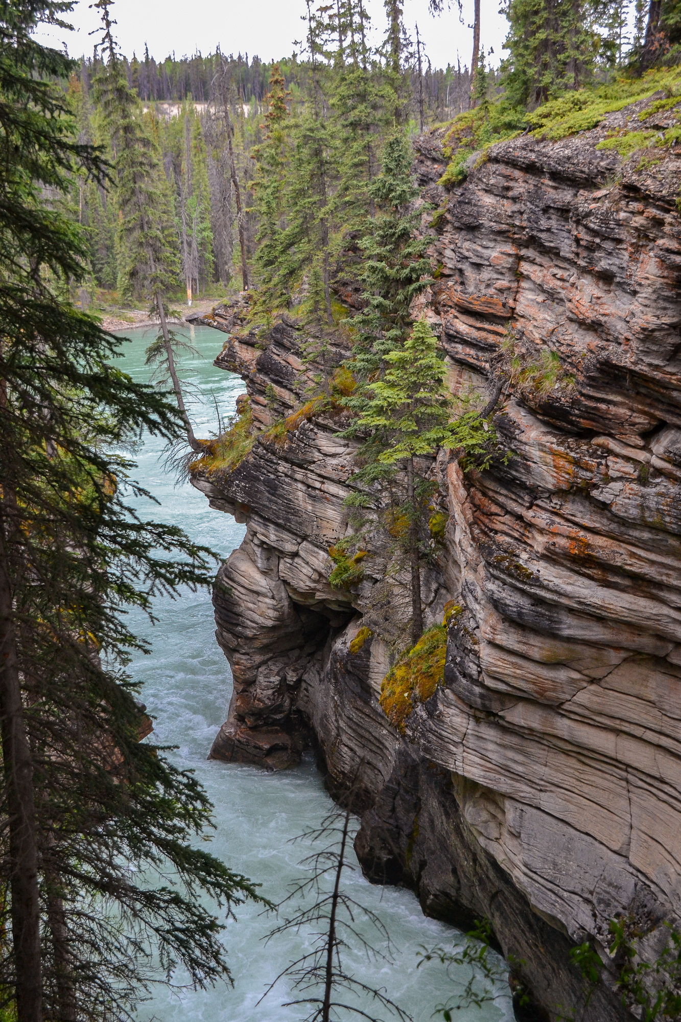 Quartzite and Limestone worn by the raging waters form layered vertical cliffs.