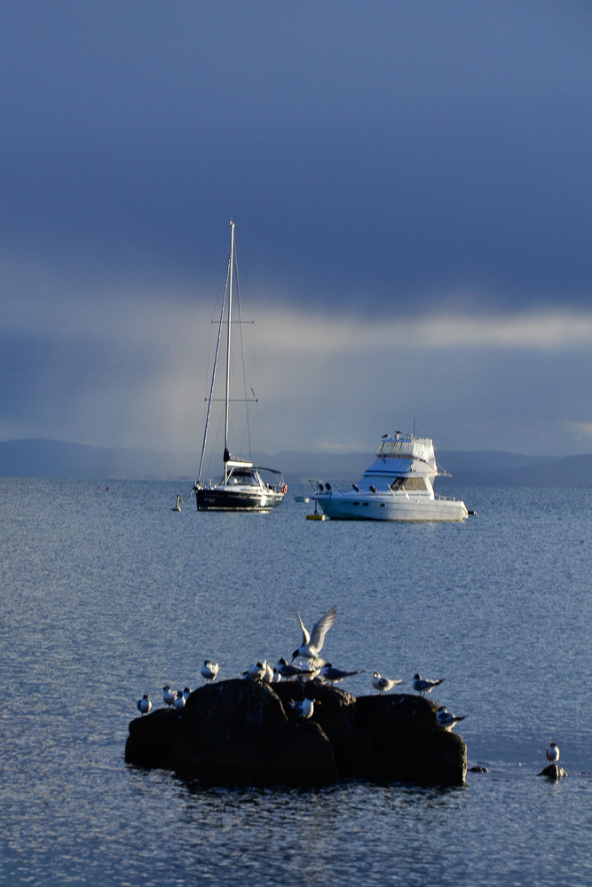 Illuminated by the afternoon sun these yachts are prominent against the stormy sky.