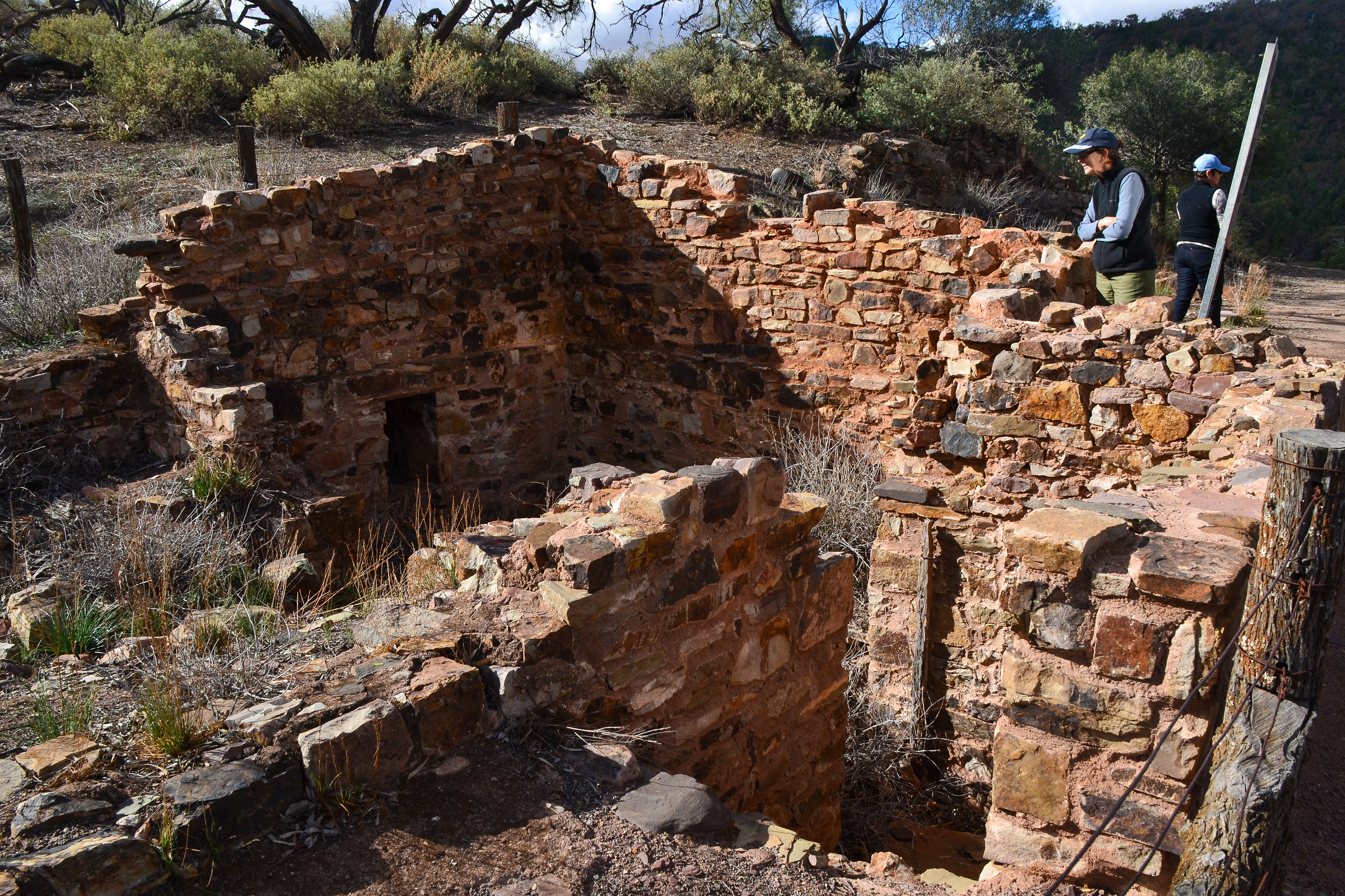 Aroona Homestead Ruins.