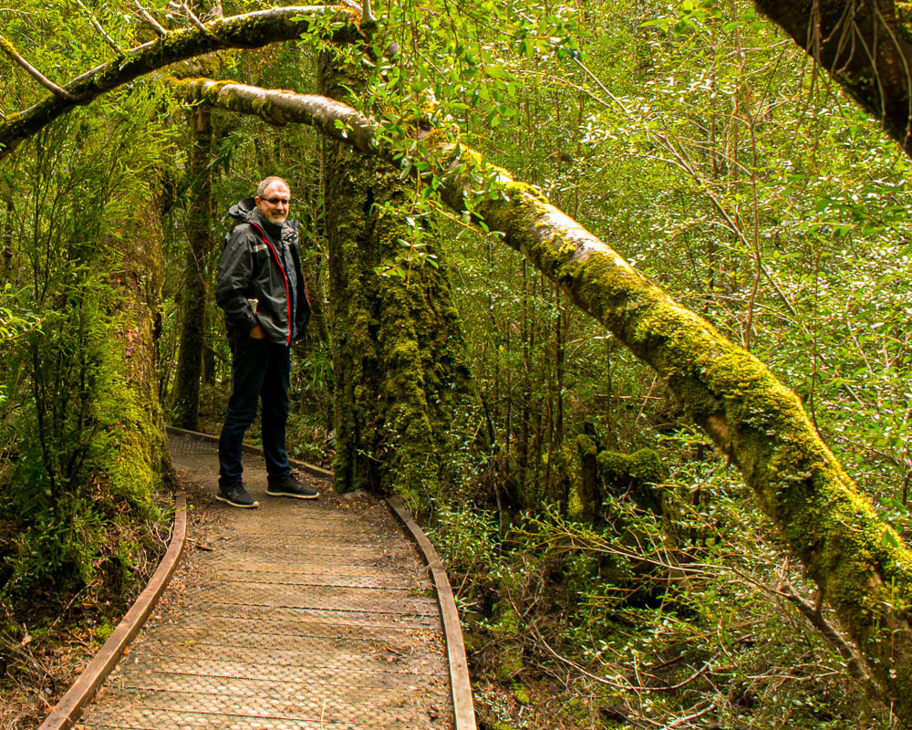Underneath the arches of moss-covered trees.