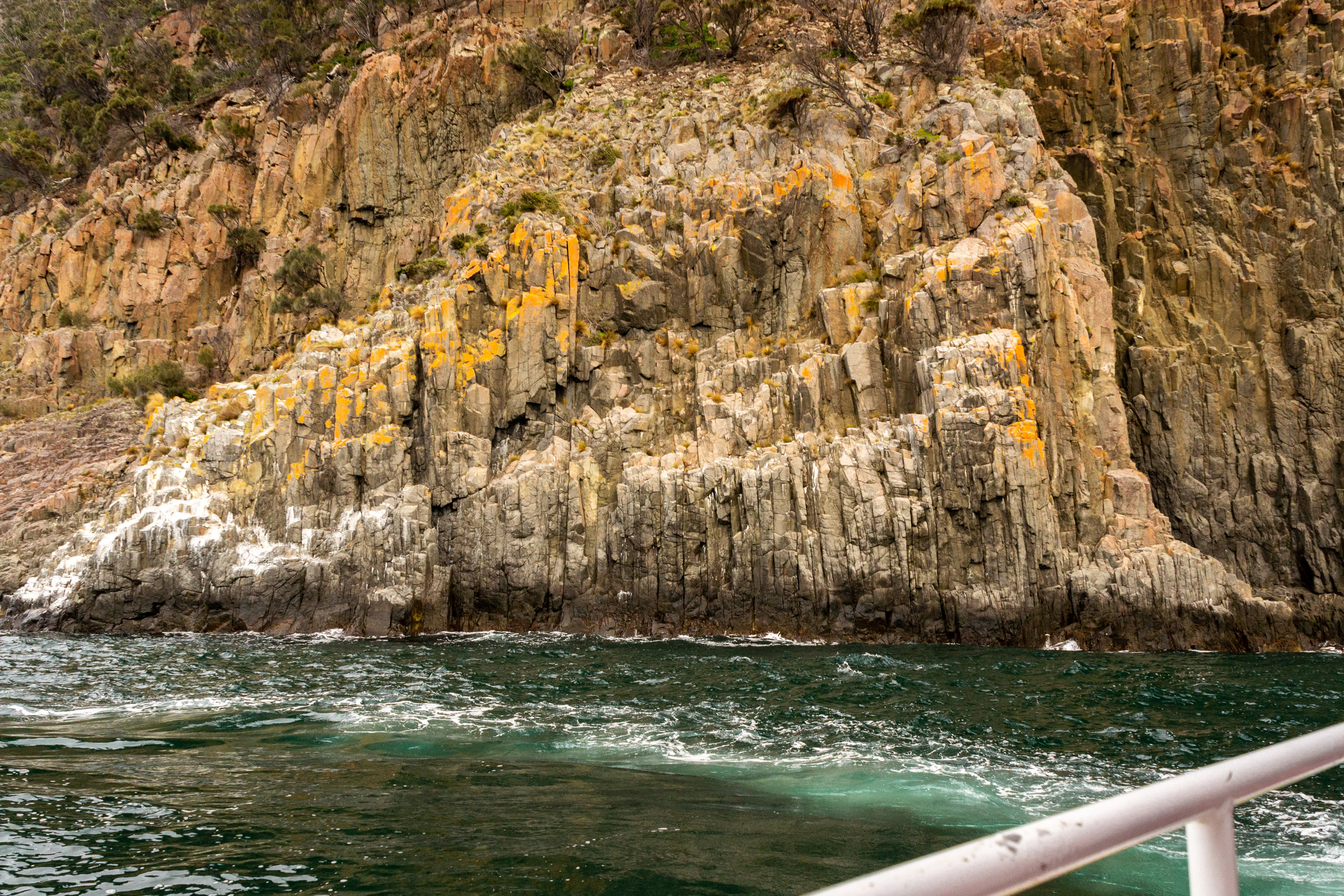 Yellow lichen and white bird guano paint the weathered rockface