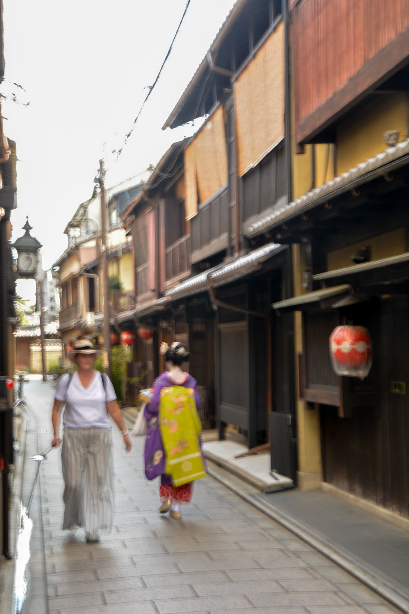 A rare sighting, a Geiko strolling by our group.