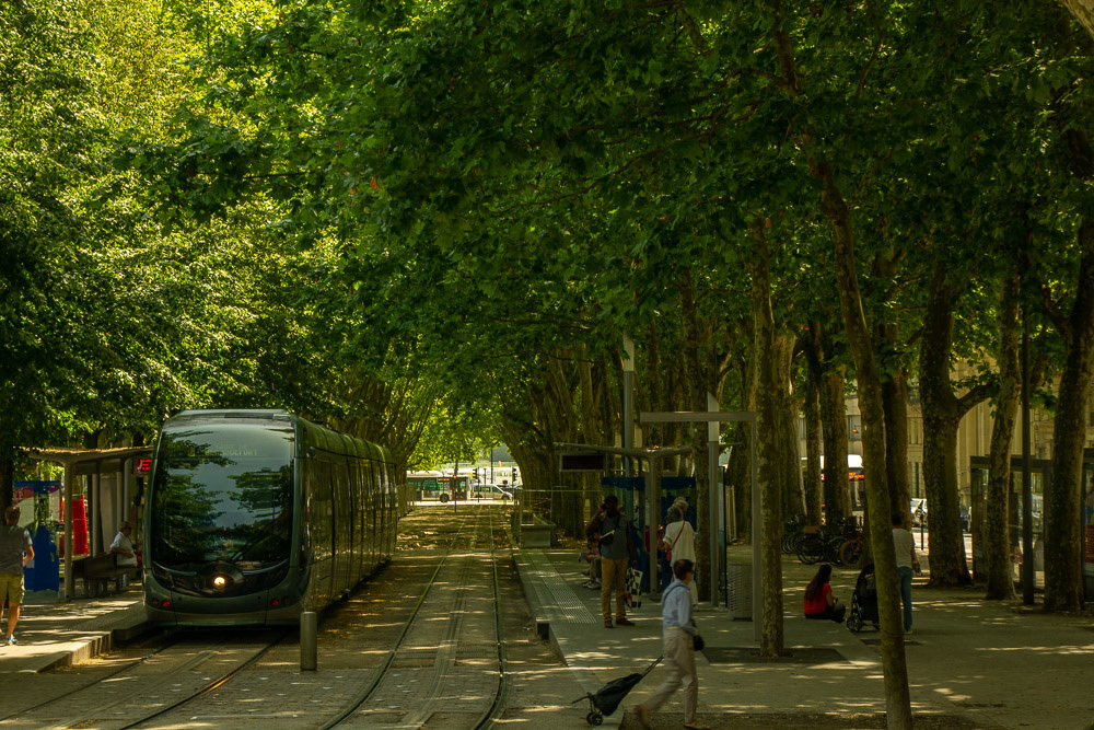 A shaded oasis adjacent Allee dÓrleans.