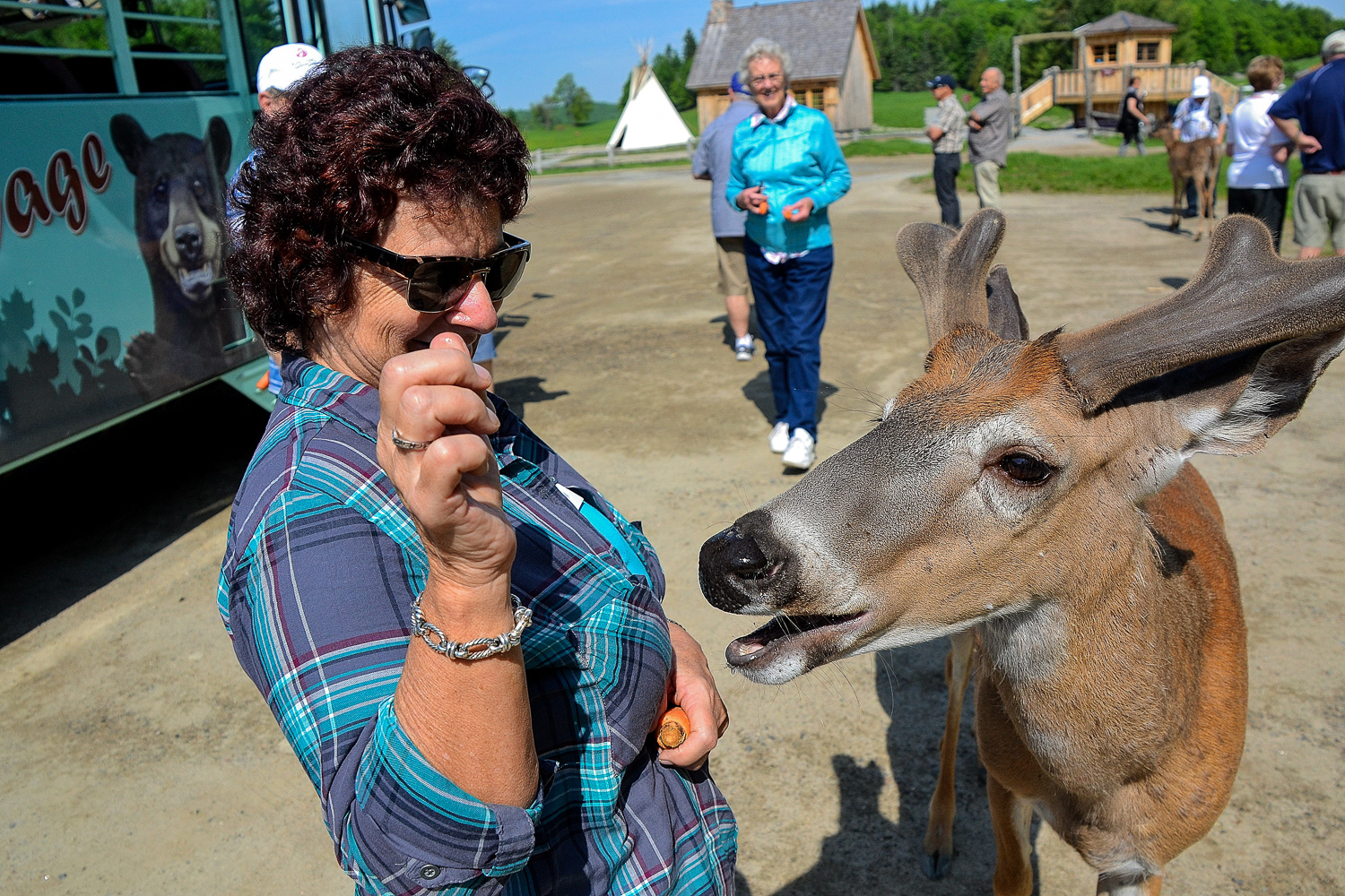 Cher making friends with a red deer, easy when you have a treat for them.