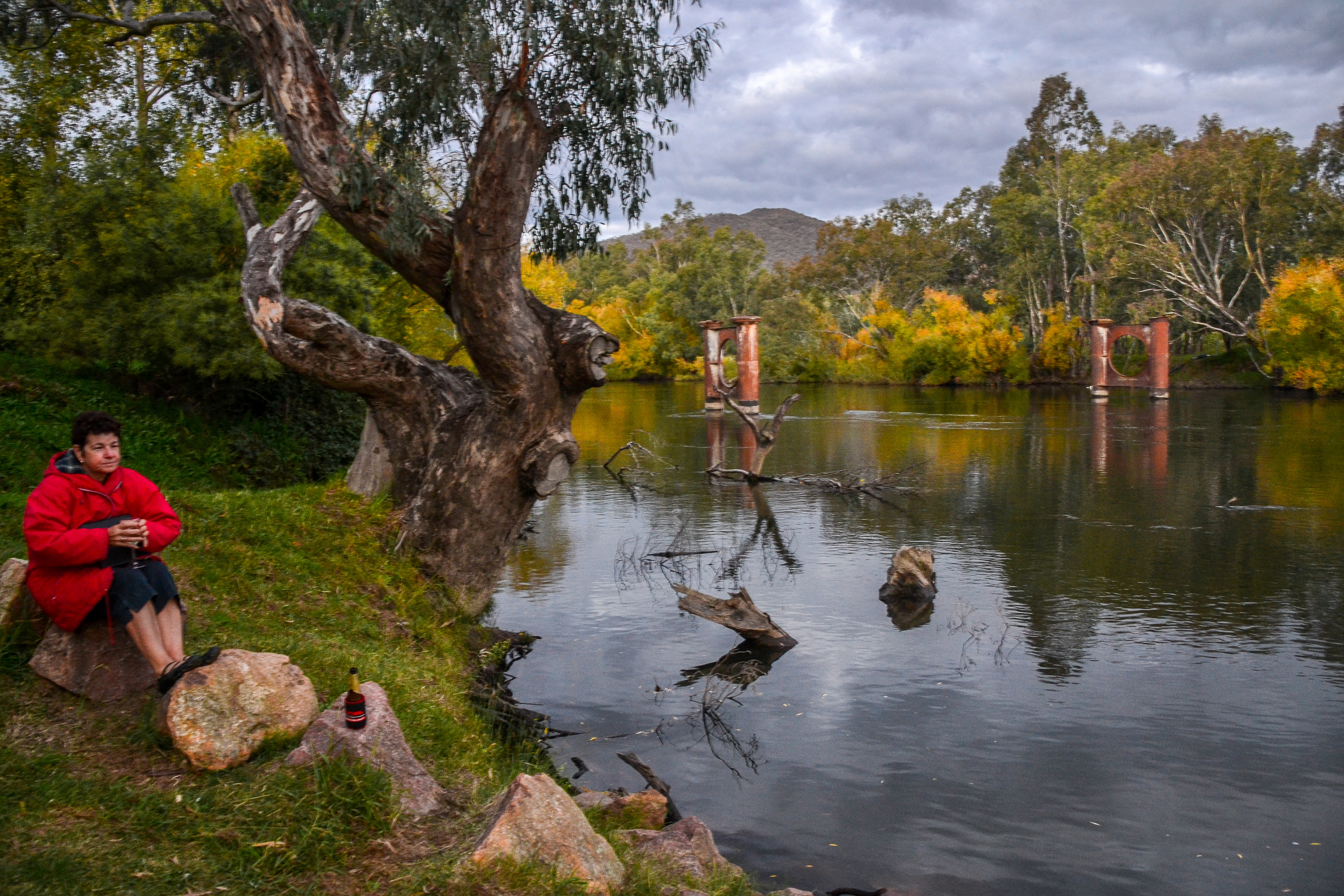 Cheryl taking in the scenery on the banks of the Murray River at Jingellic.