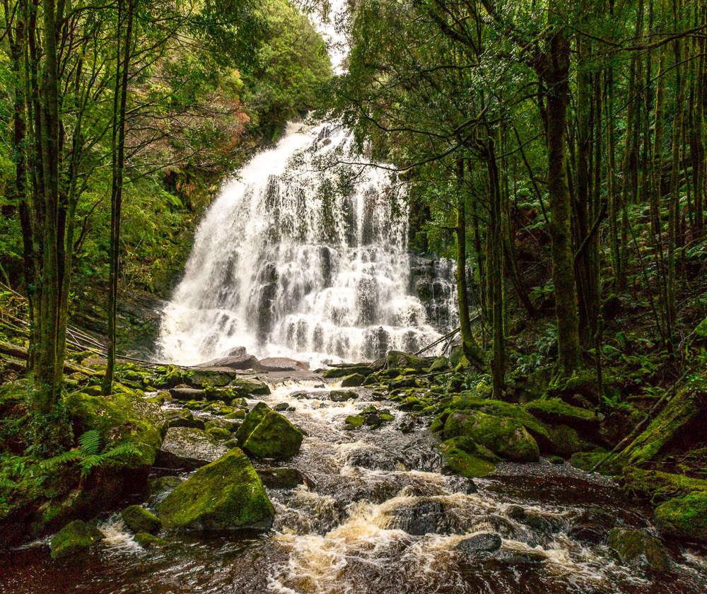 Nelson Falls - a short walk in from the Lyell Highway, before arriving in Queenstown from Derwent Bridge, is a beautiful set of falls.