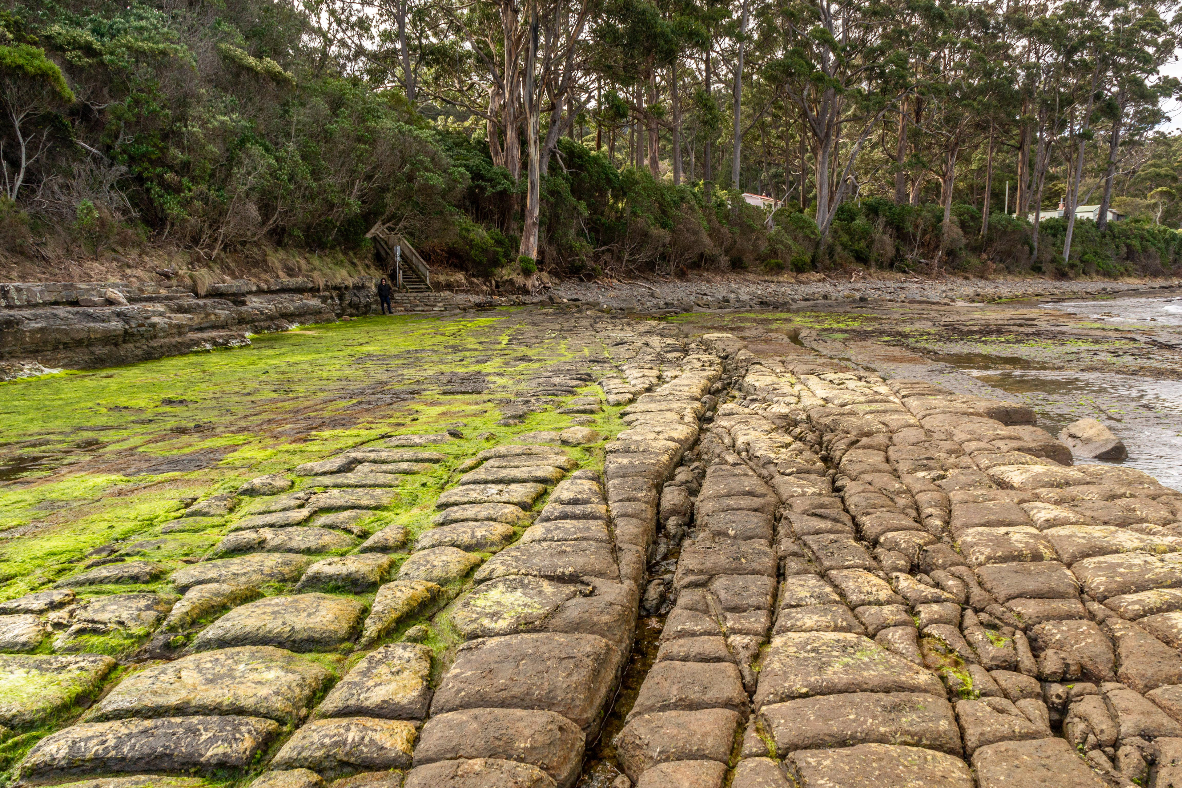 Tessellated pavement at Eagle Hawk Neck is extremely rare, one of only a few in the world. This is an example of the "loaf" type.