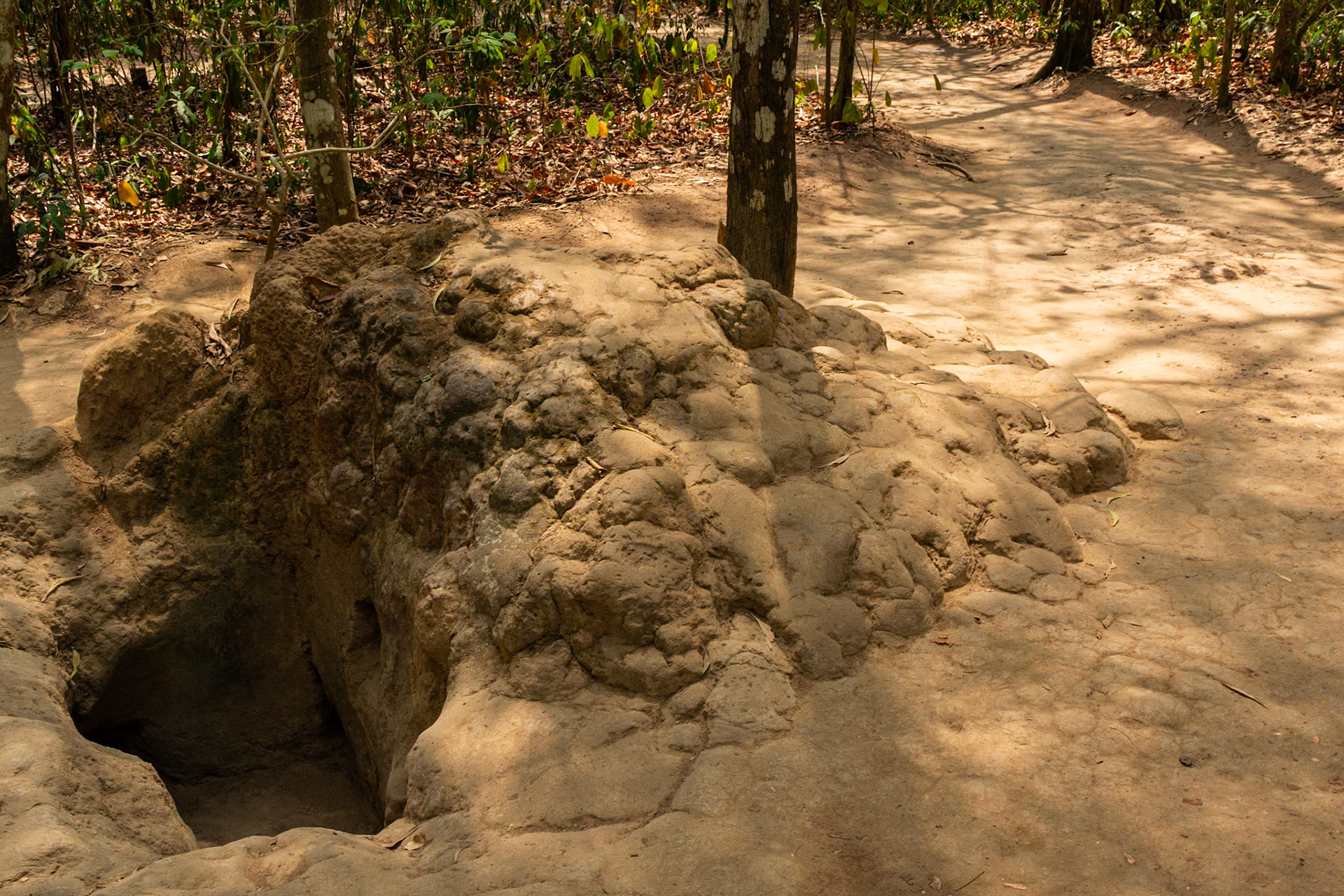 An exposed section of the tunnel complex.