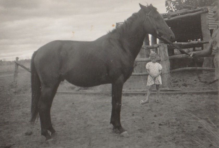 Ed with his horse (Cyril).