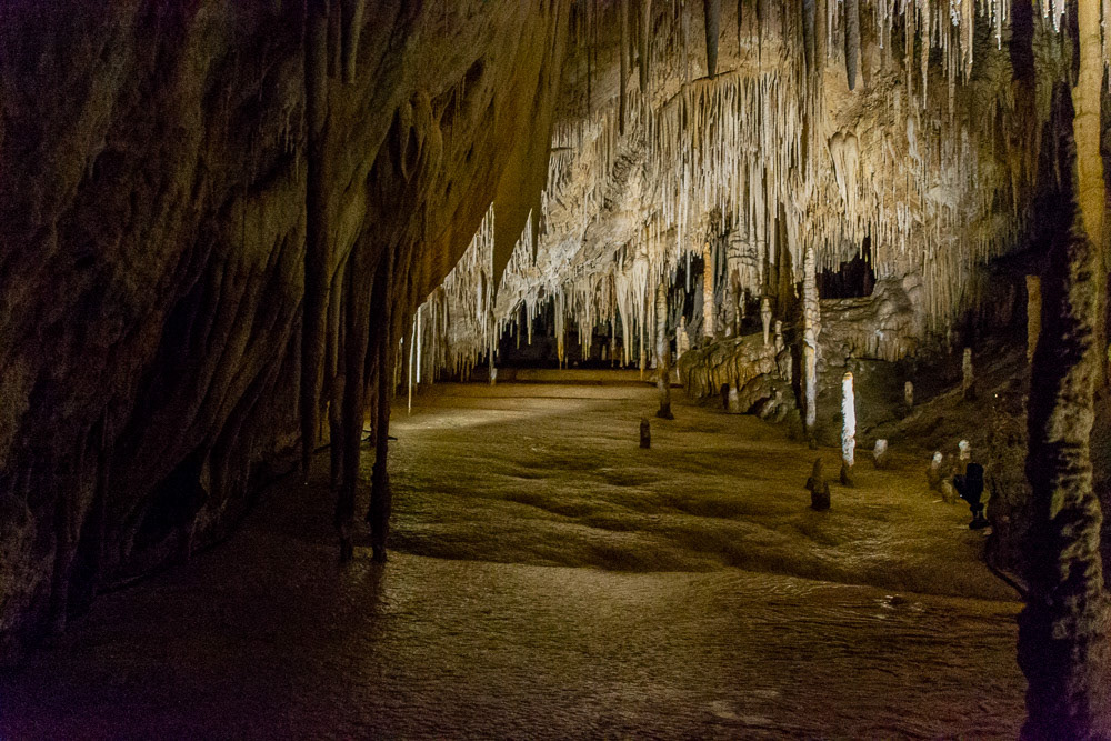 Hastings Caves and Thermal Springs in the far south of Tasmania’s beautiful Huon Valley.