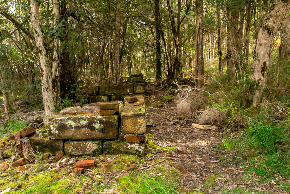 Once cleared of all vegetation to establish the penal settlement nature has reclaimed the ruined remnants of the convict settlement established 200 years earlier.
