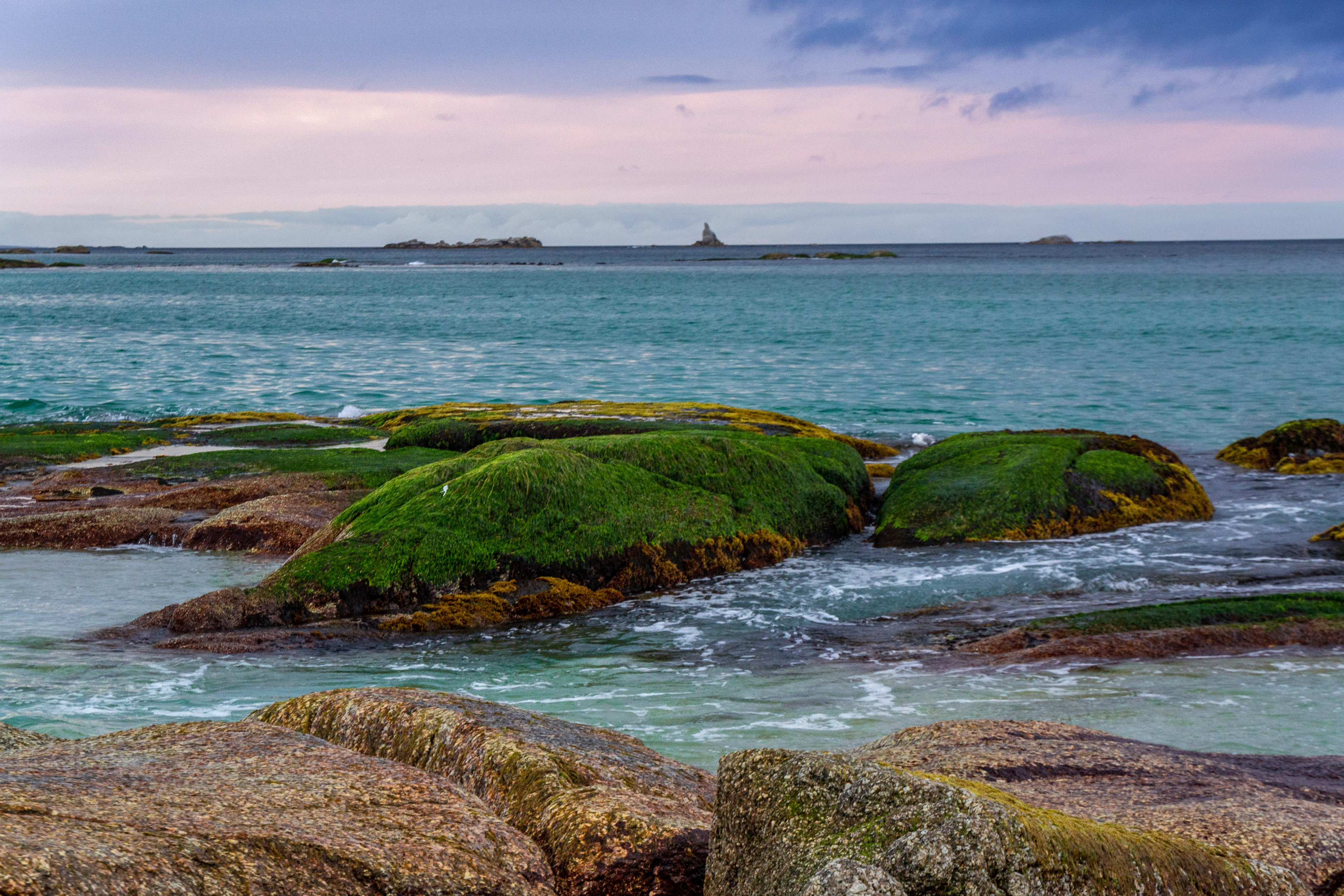Verdant moss cover adds a different colour and texture to the granite boulders.