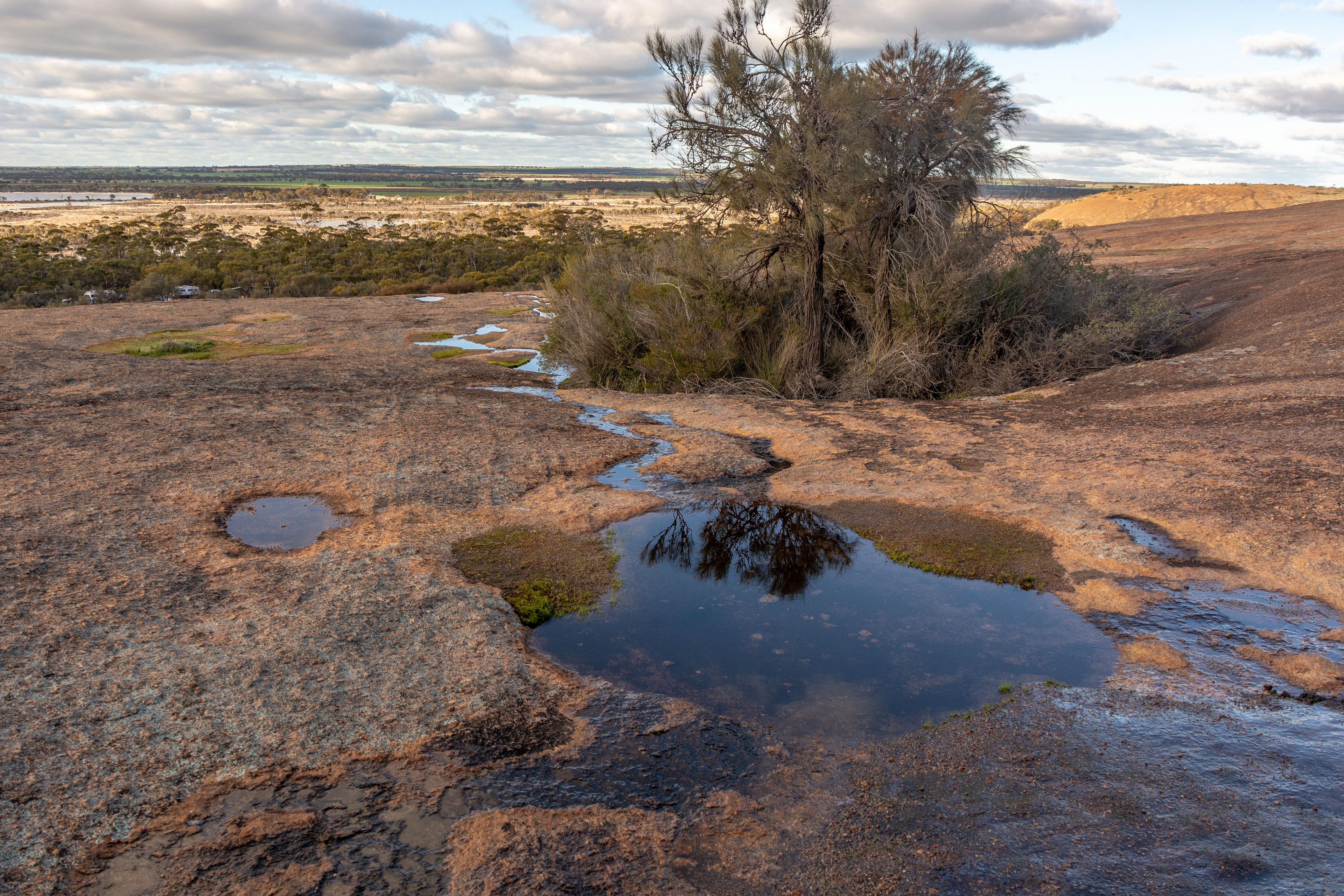 Heyden Rock ....... rock pools and islands of vegetation