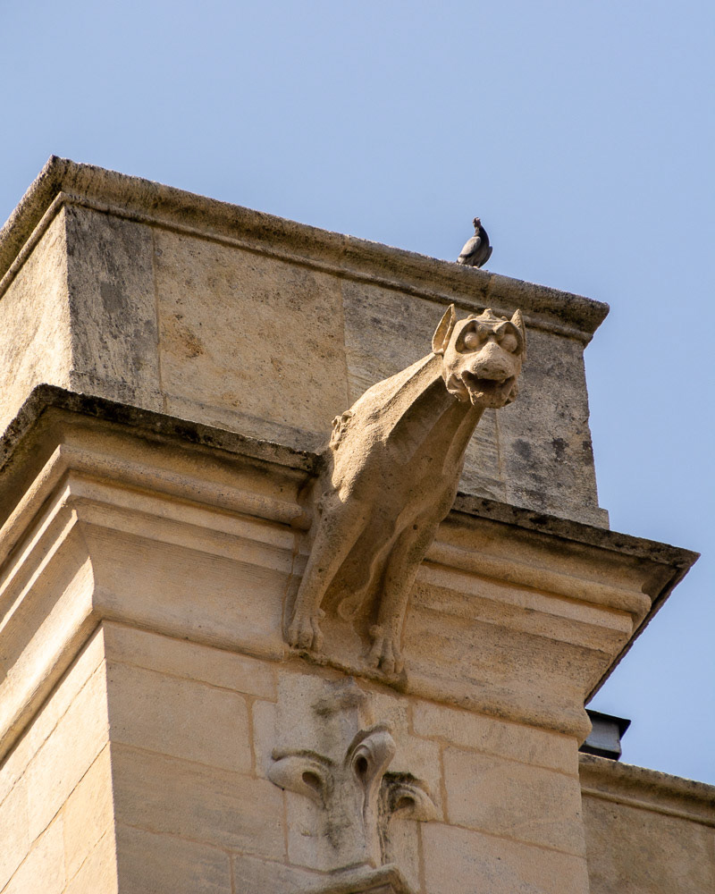 Bordeaux Cathederal, gargoyle and feral pidgeon.