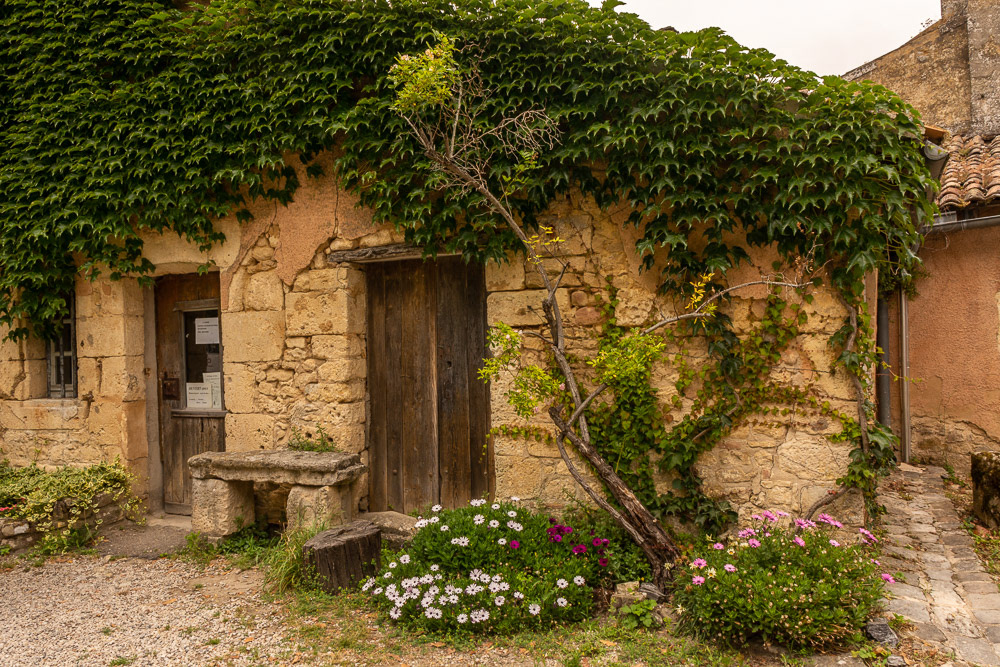 Climbing Ivy vines engulf this stone building, possibly planted by the first occupants.