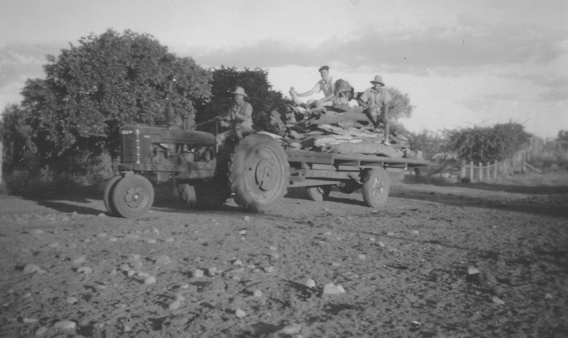Bill (driving), Ed and Russ Cullen on trailer of logs.